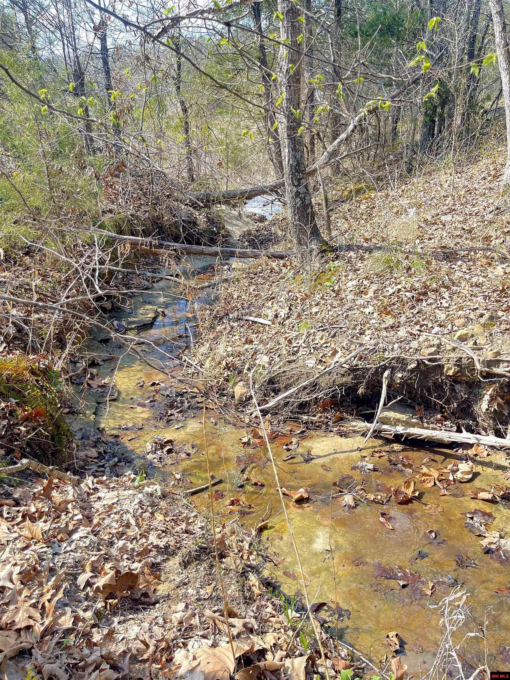 001-00209-000 Tower Lane