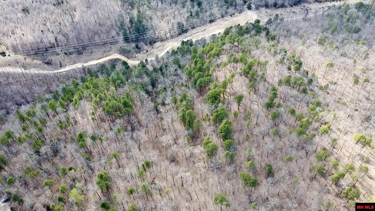 001-00209-000 Tower Lane