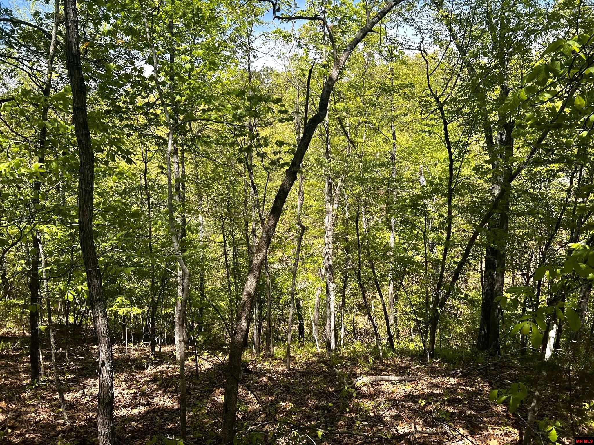 001-00209-000 Tower Lane