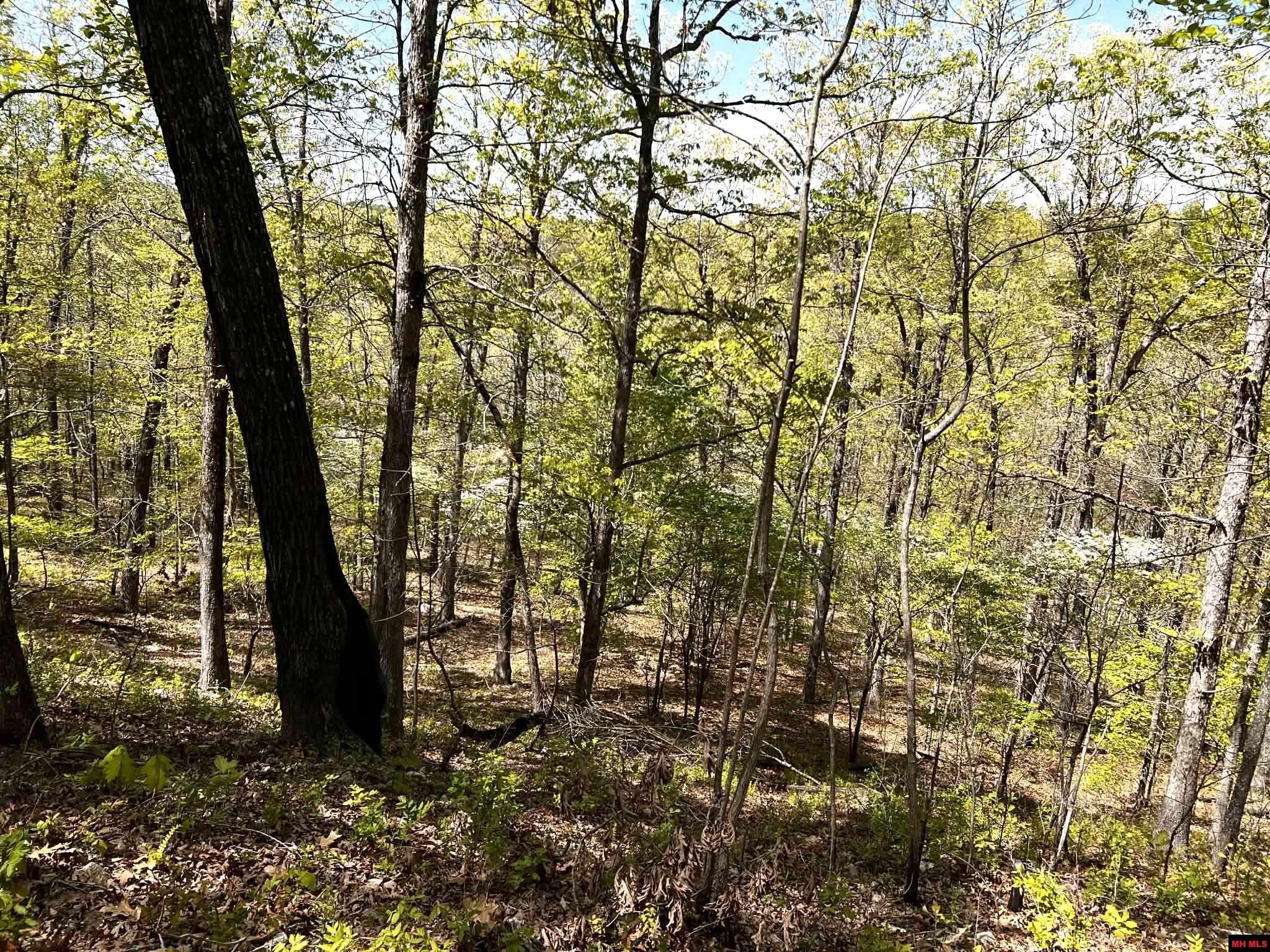 001-00209-000 Tower Lane