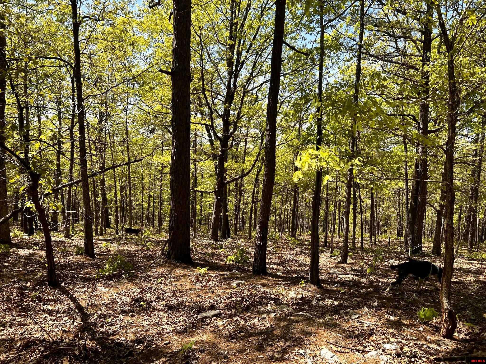 001-00209-000 Tower Lane