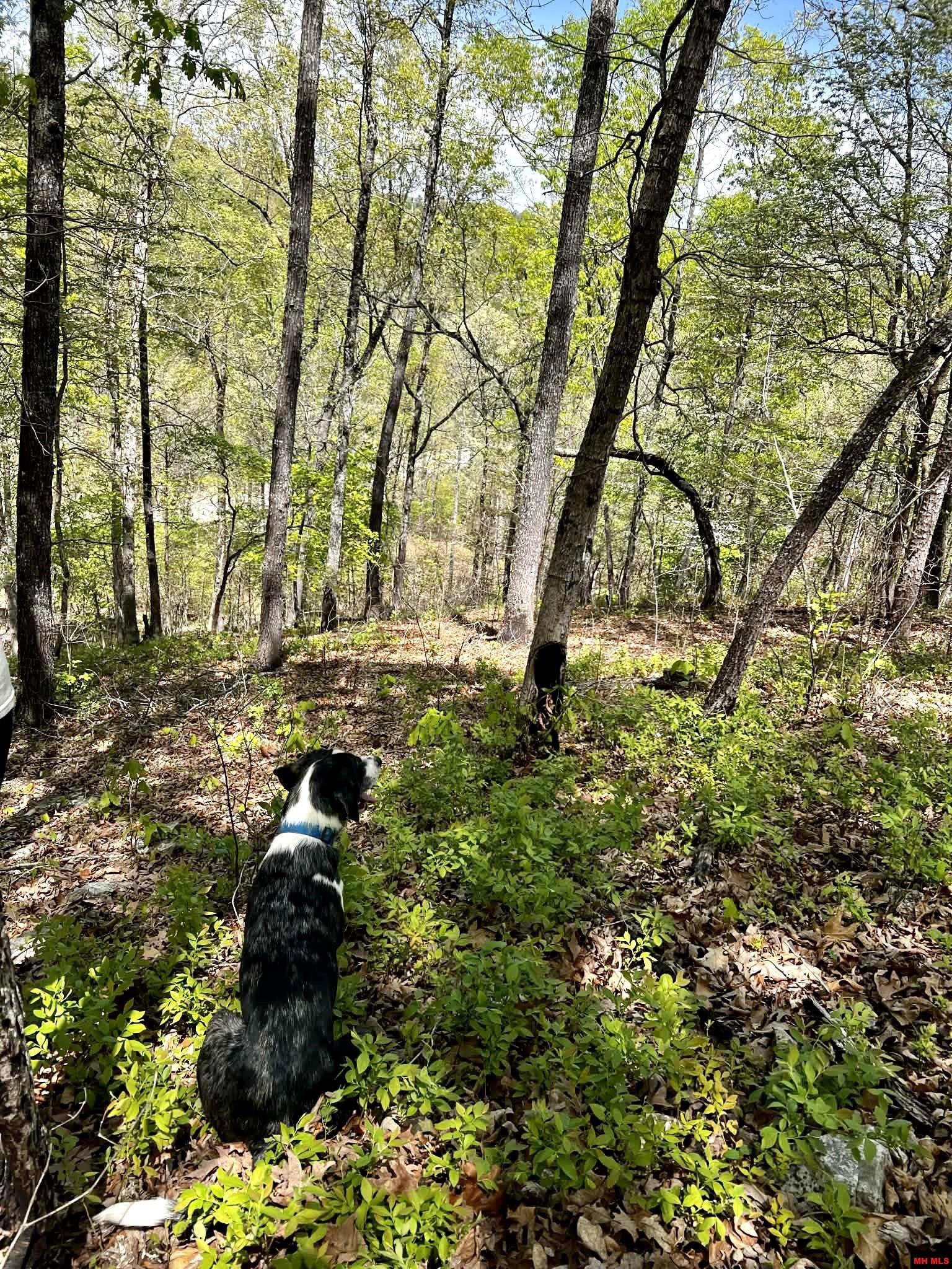 001-00209-000 Tower Lane