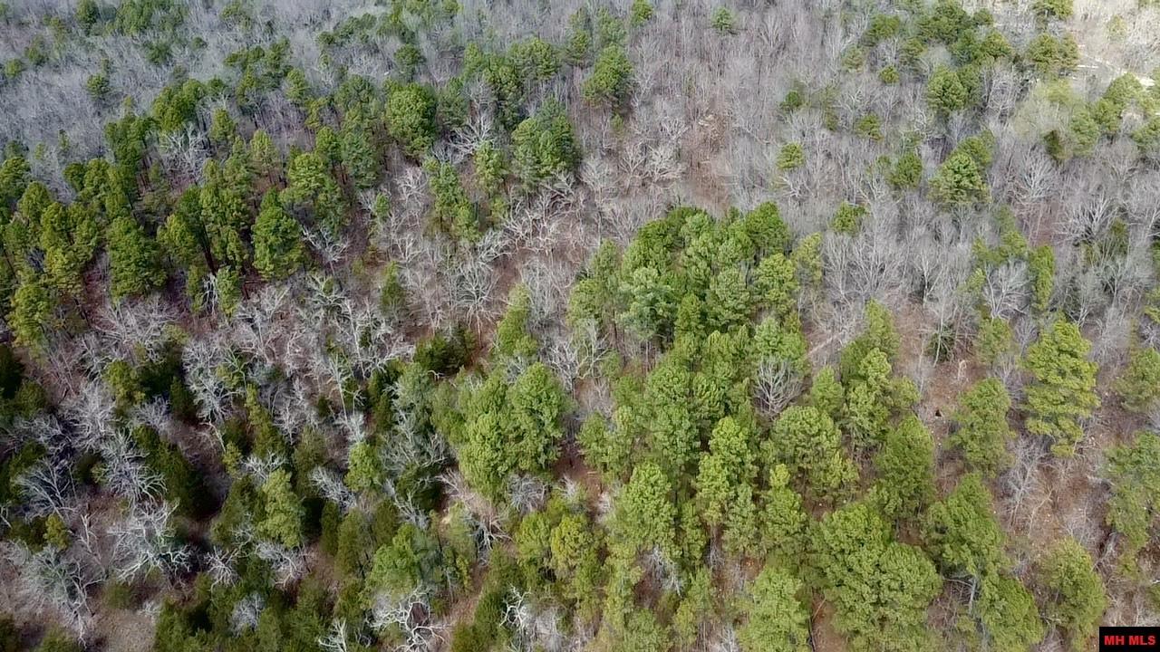 001-00209-000 Tower Lane