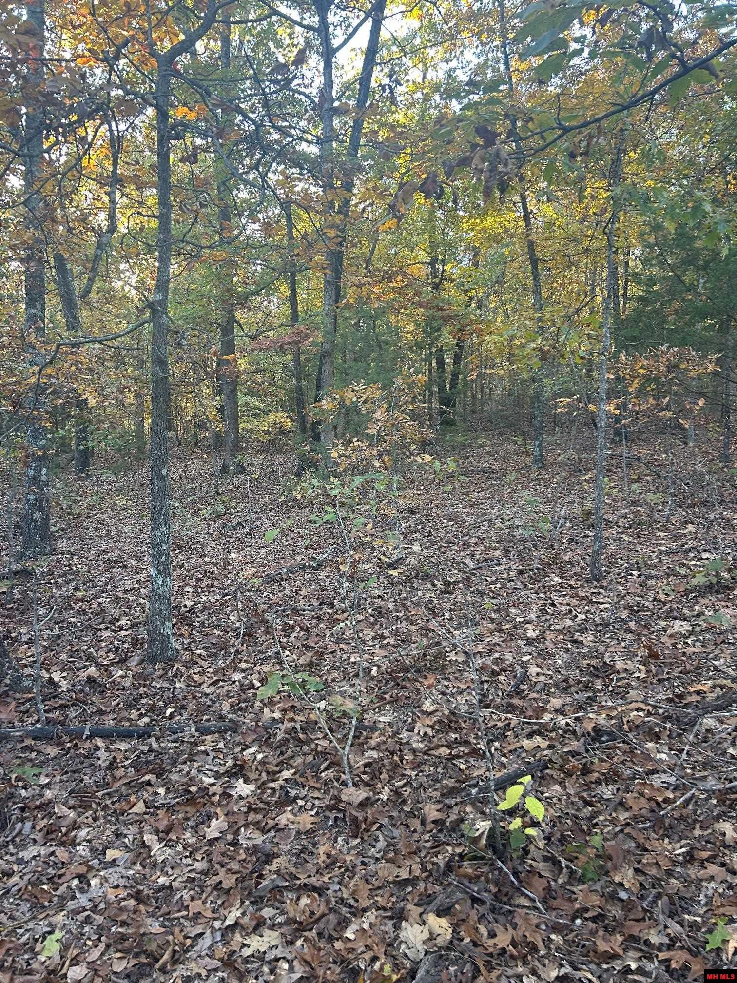 001-00749-000 Cr 146