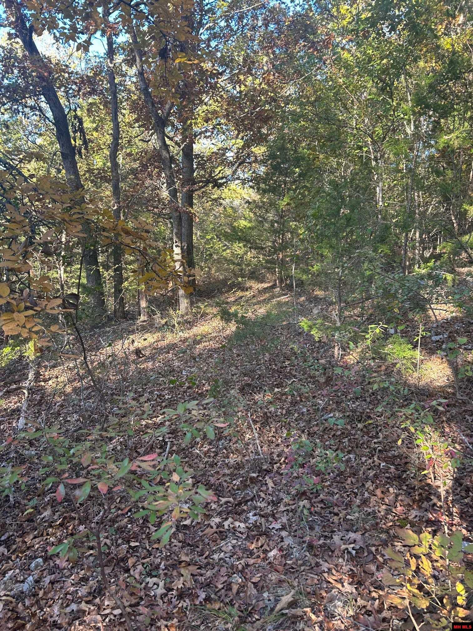 001-00749-000 Cr 146