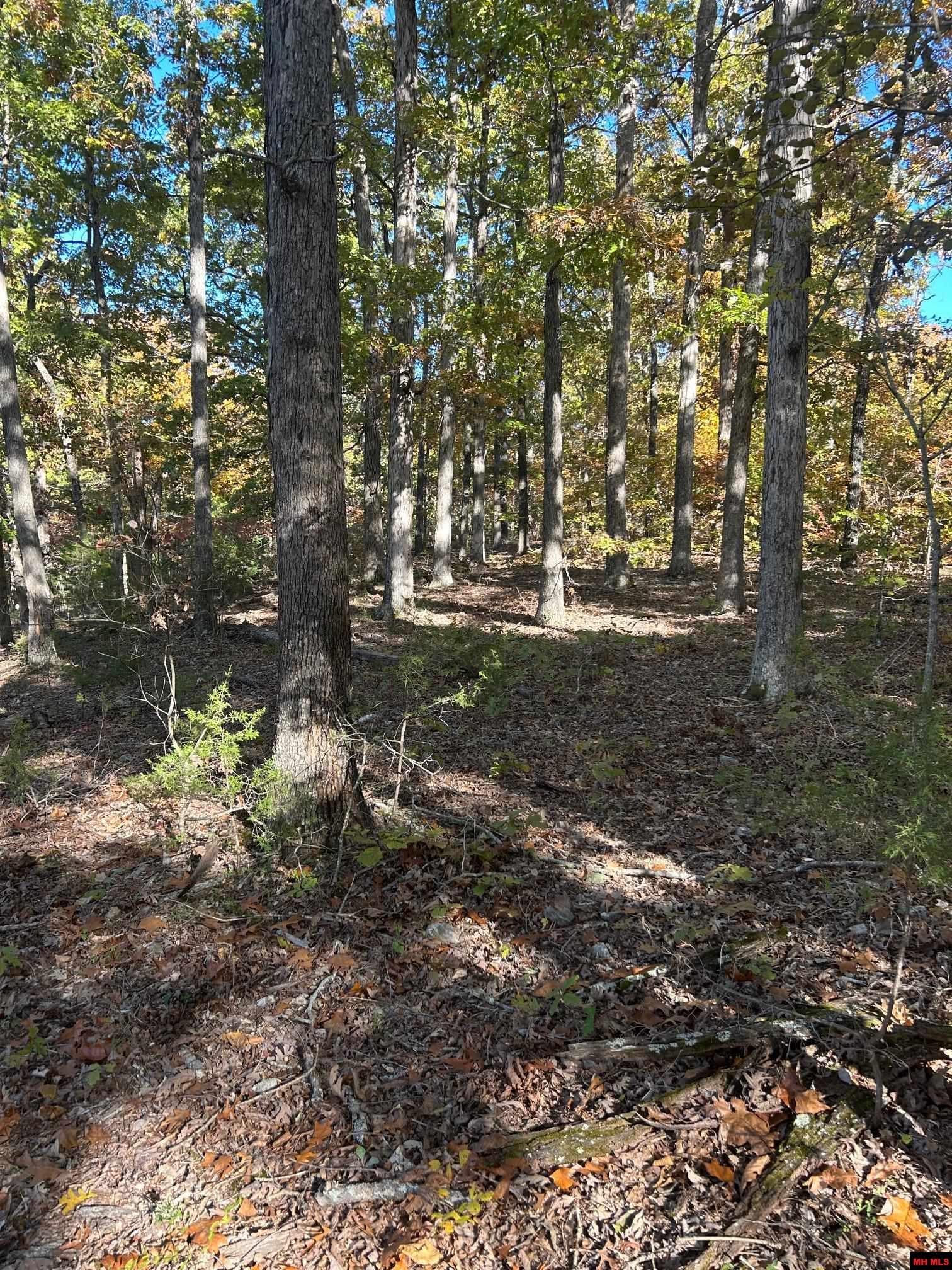 001-00749-000 Cr 146