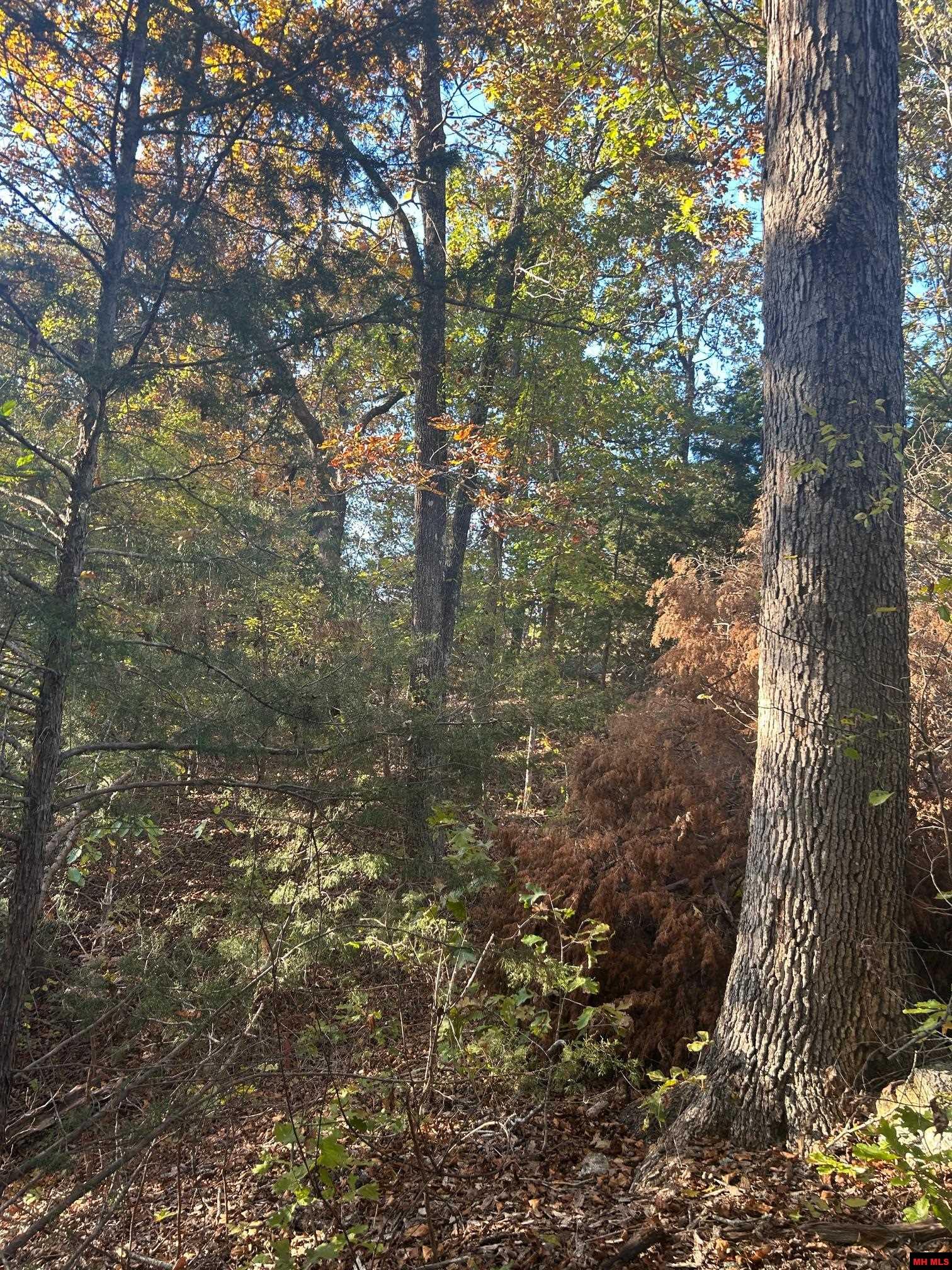 001-00749-000 Cr 146