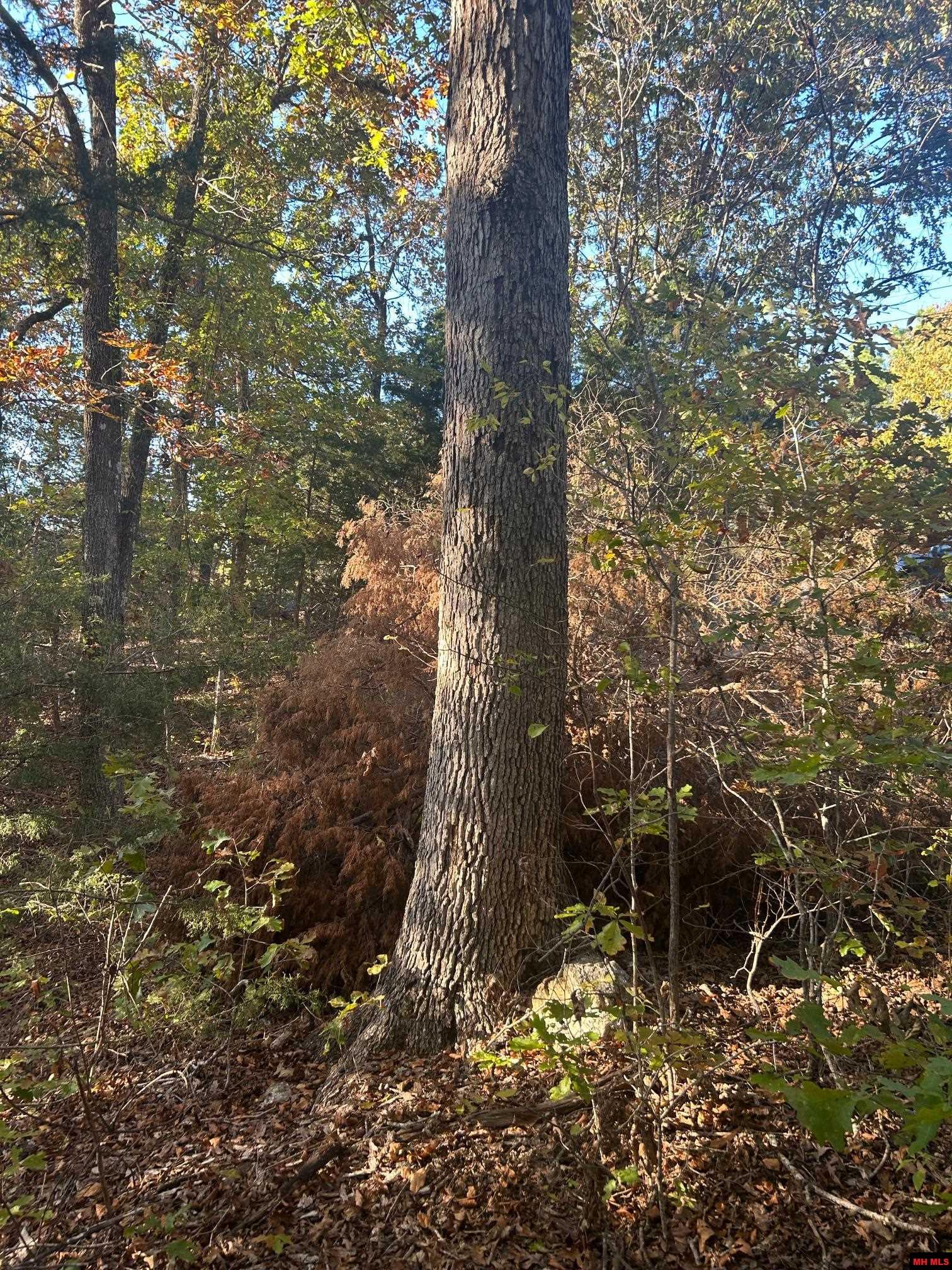 001-00749-000 Cr 146