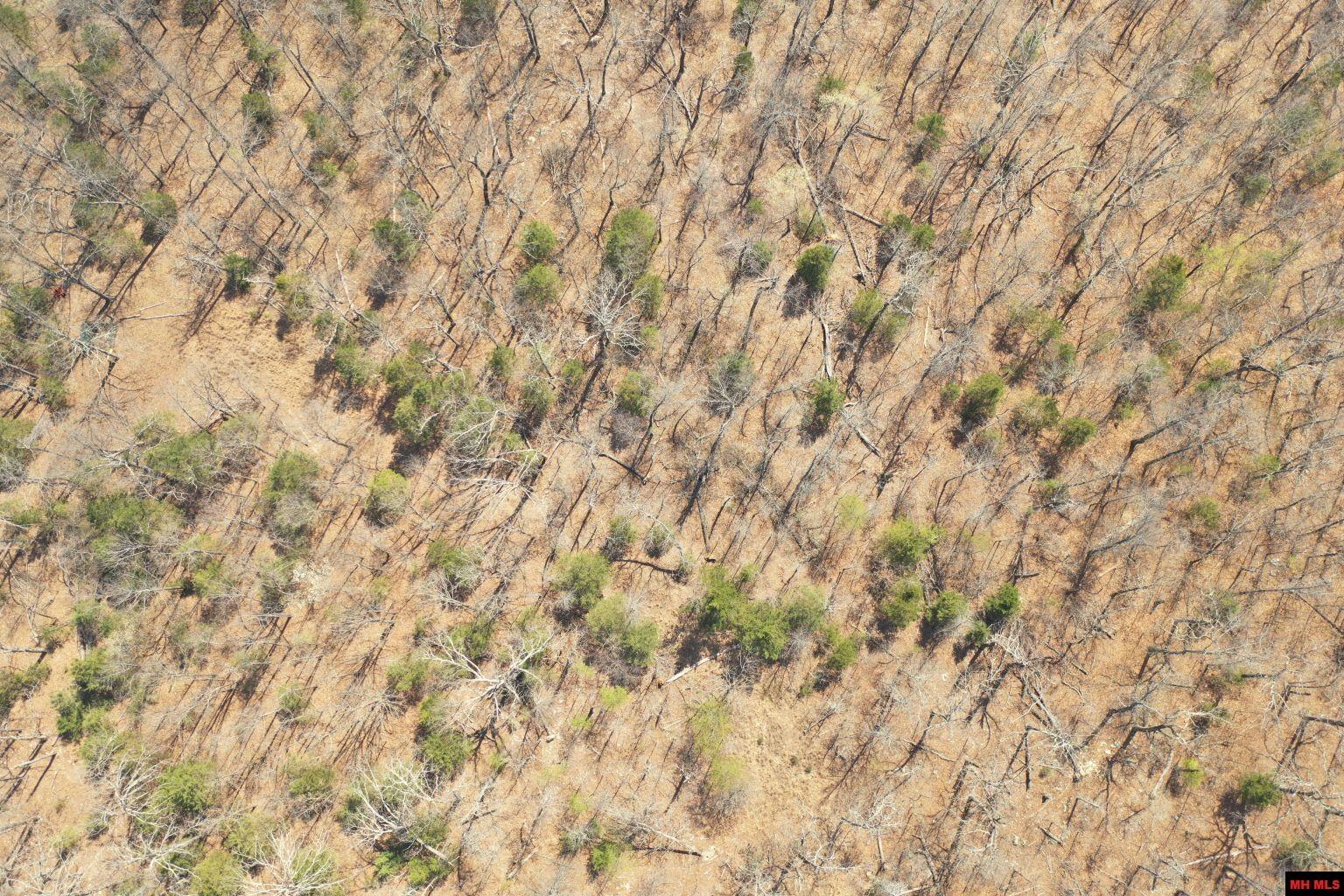 001-02158-001 Rocky Ridge Road