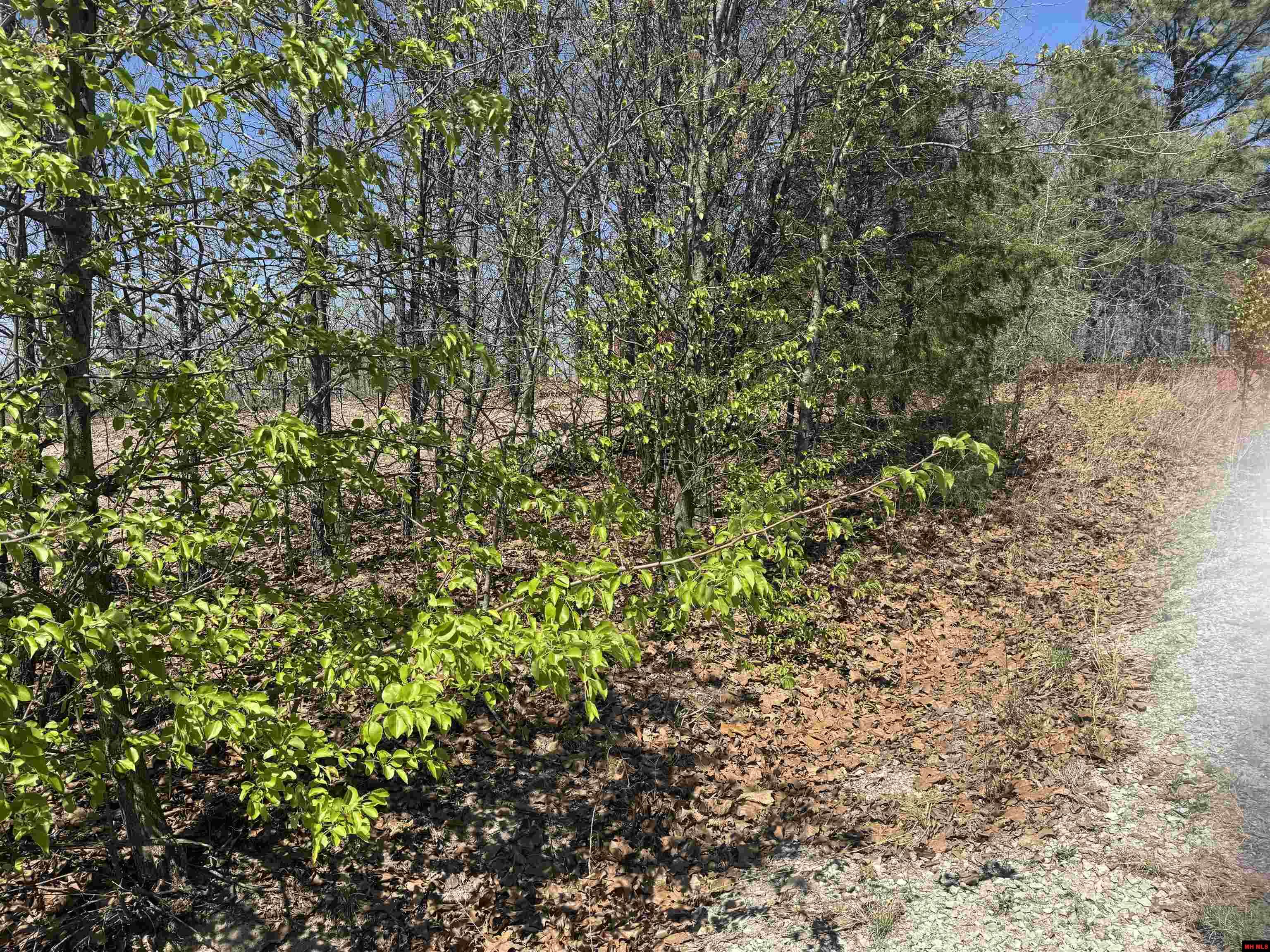 Lots 23 & 24 Oak Summit Drive