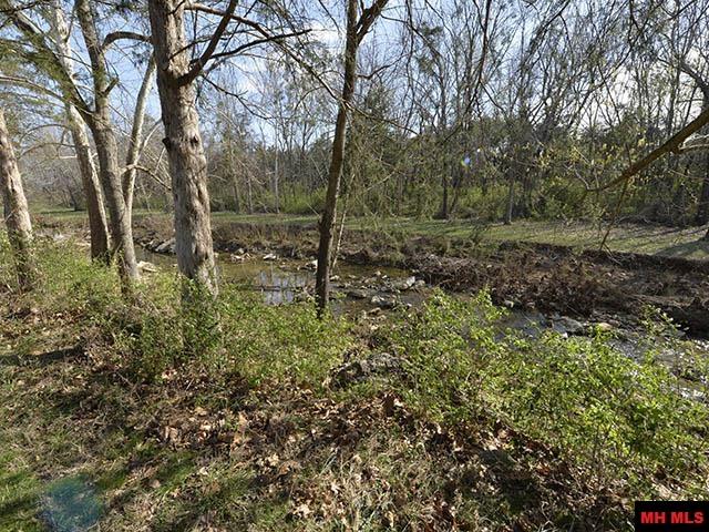 1313 Meadowbrook Drive