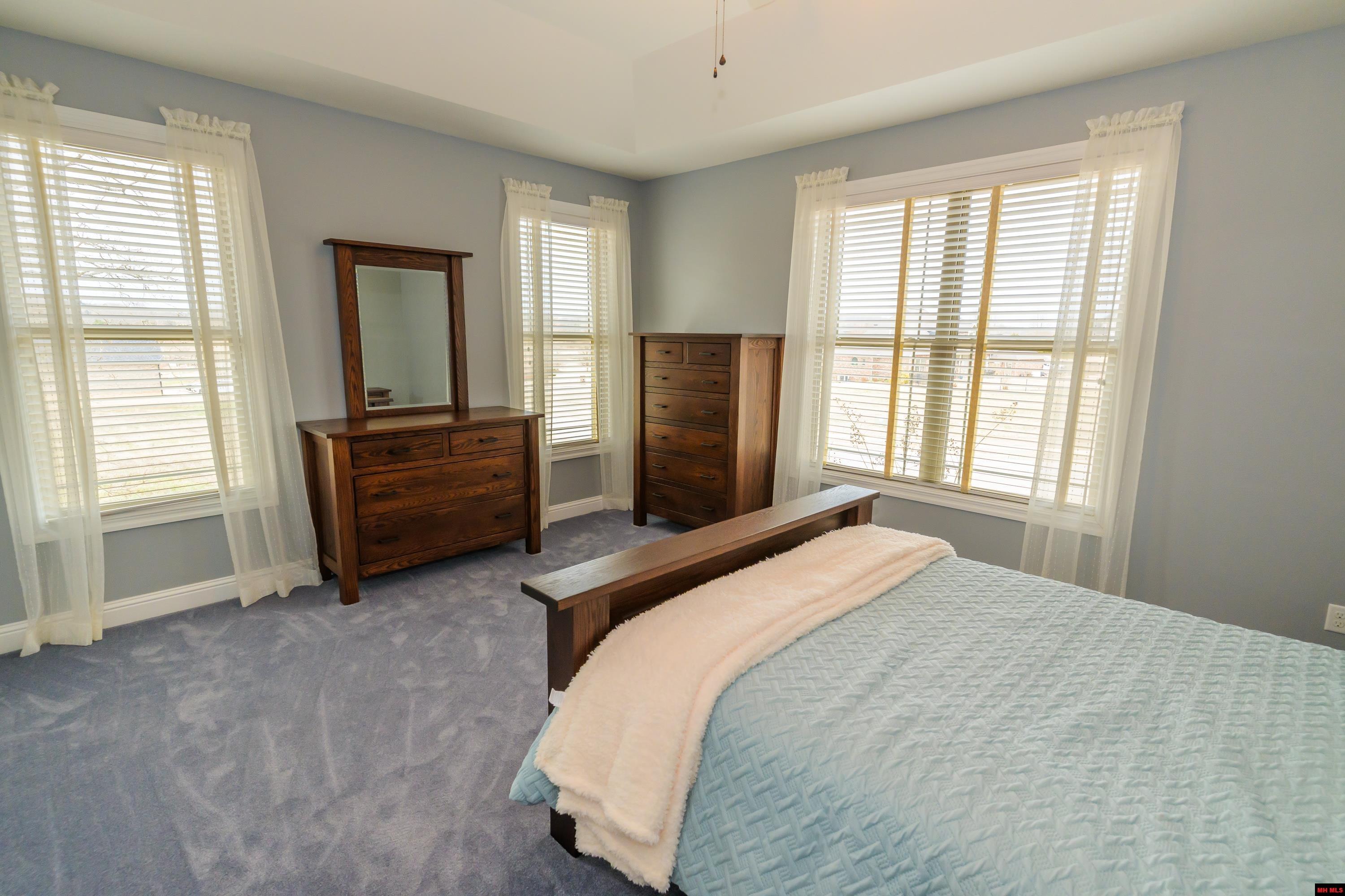 214 S SHEEKS DRIVE Mountain Home, AR