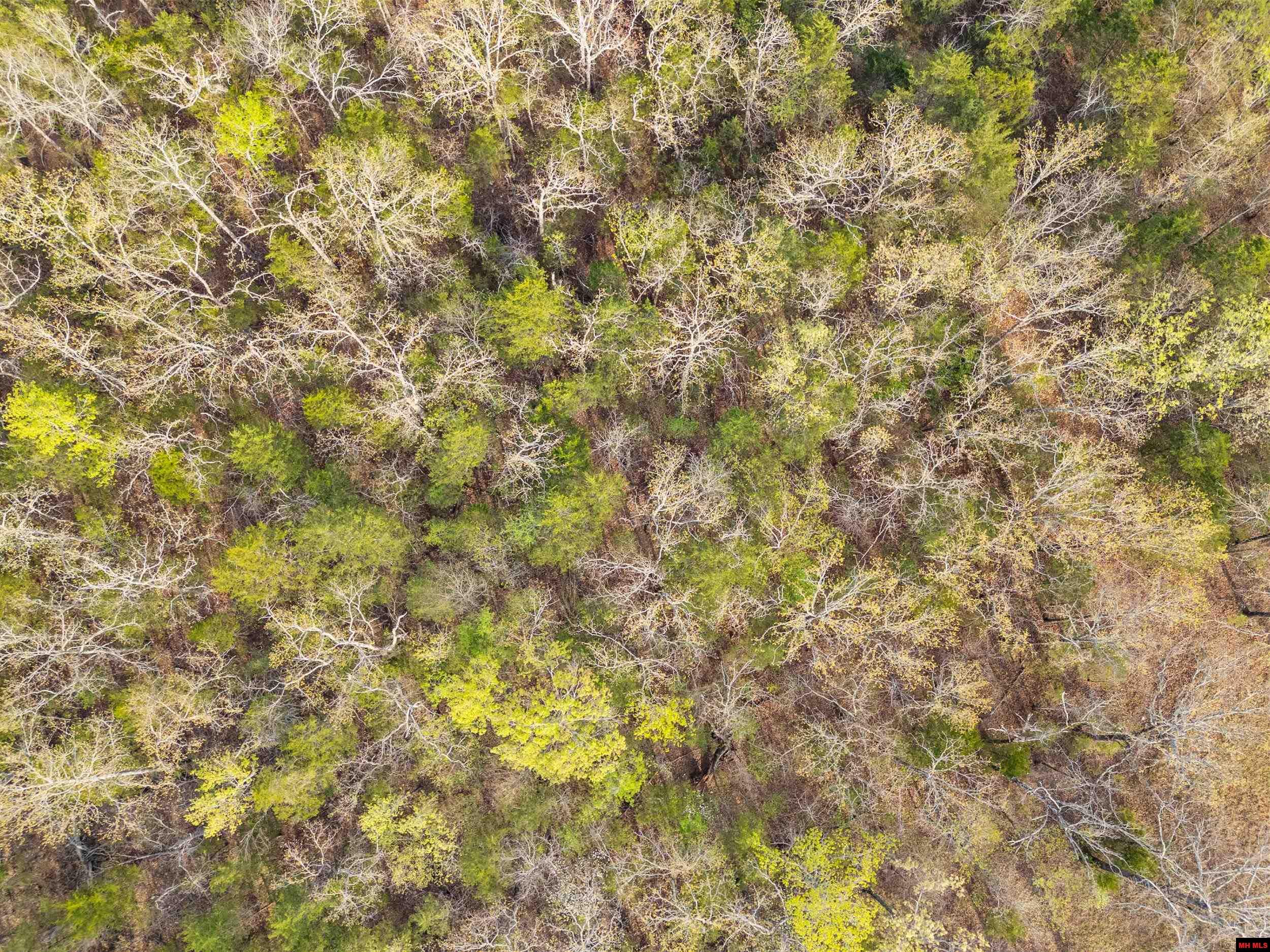 001-07810-003 Cr 637