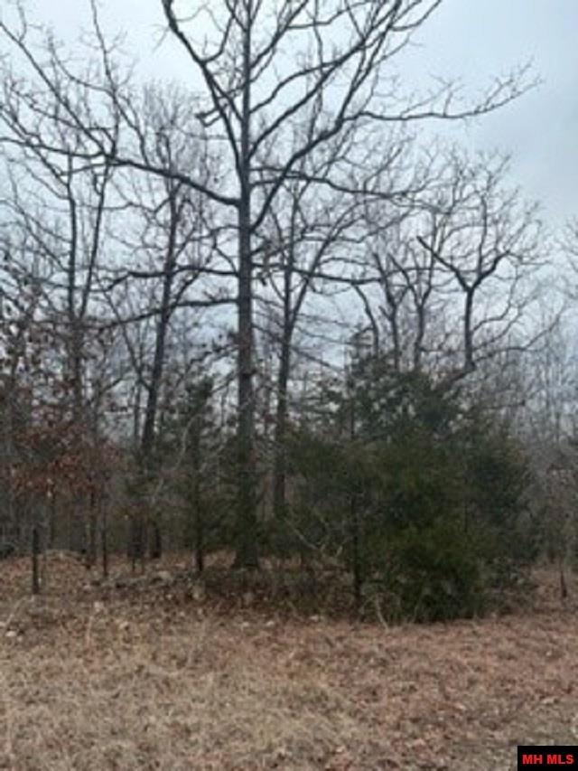 Lot 14 Buckhead Lane