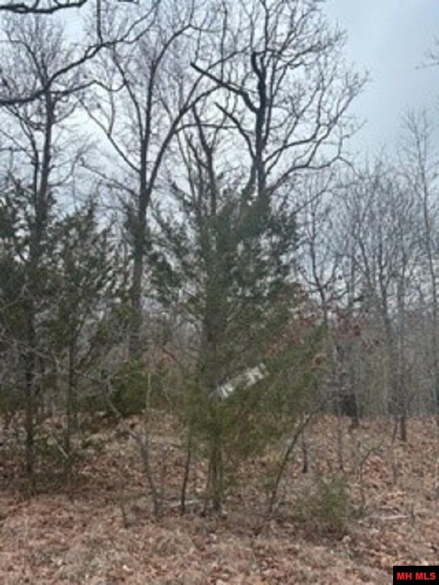 Lot 14 Buckhead Lane