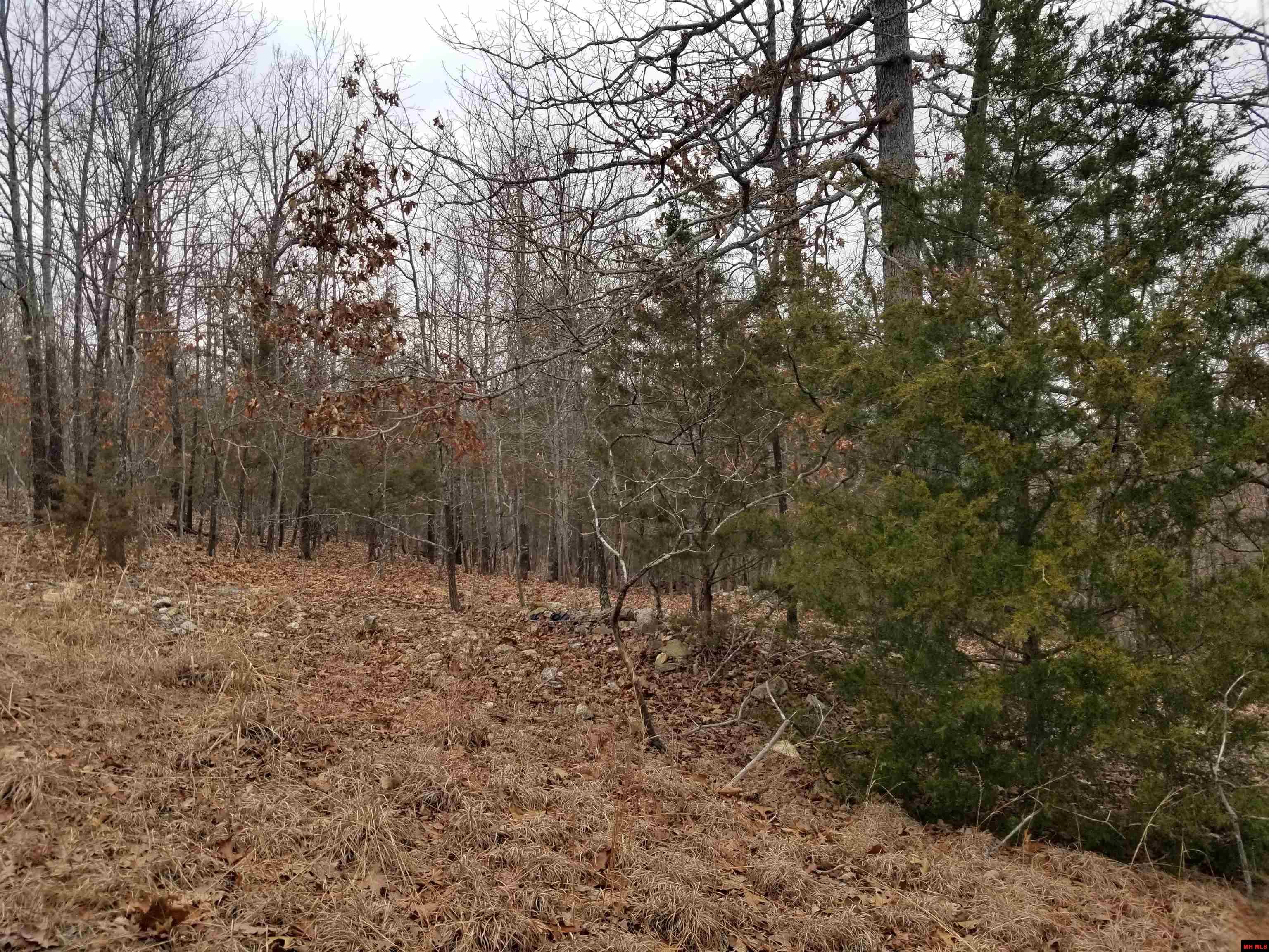 Lot 14 Buckhead Lane