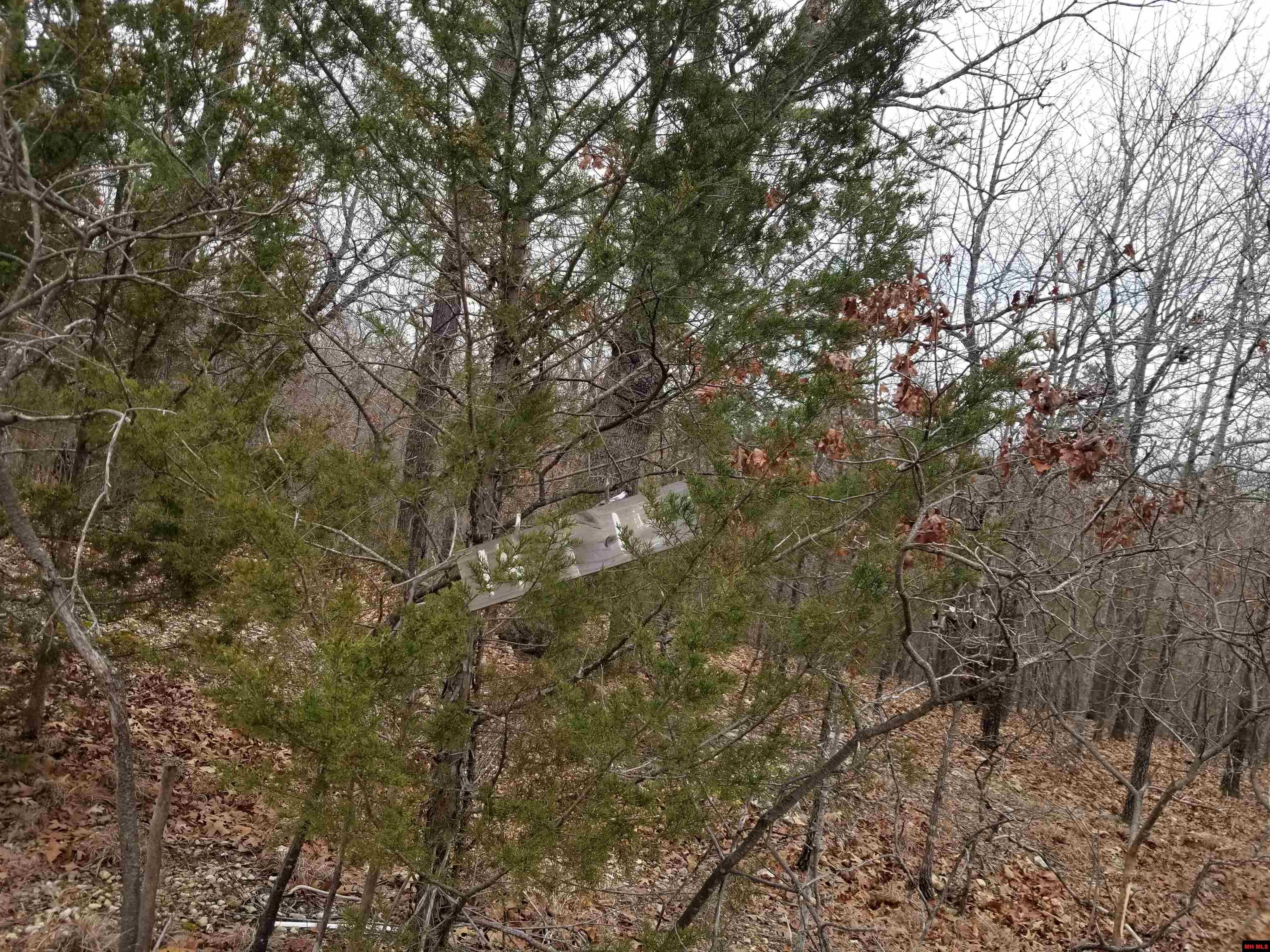 Lot 14 Buckhead Lane