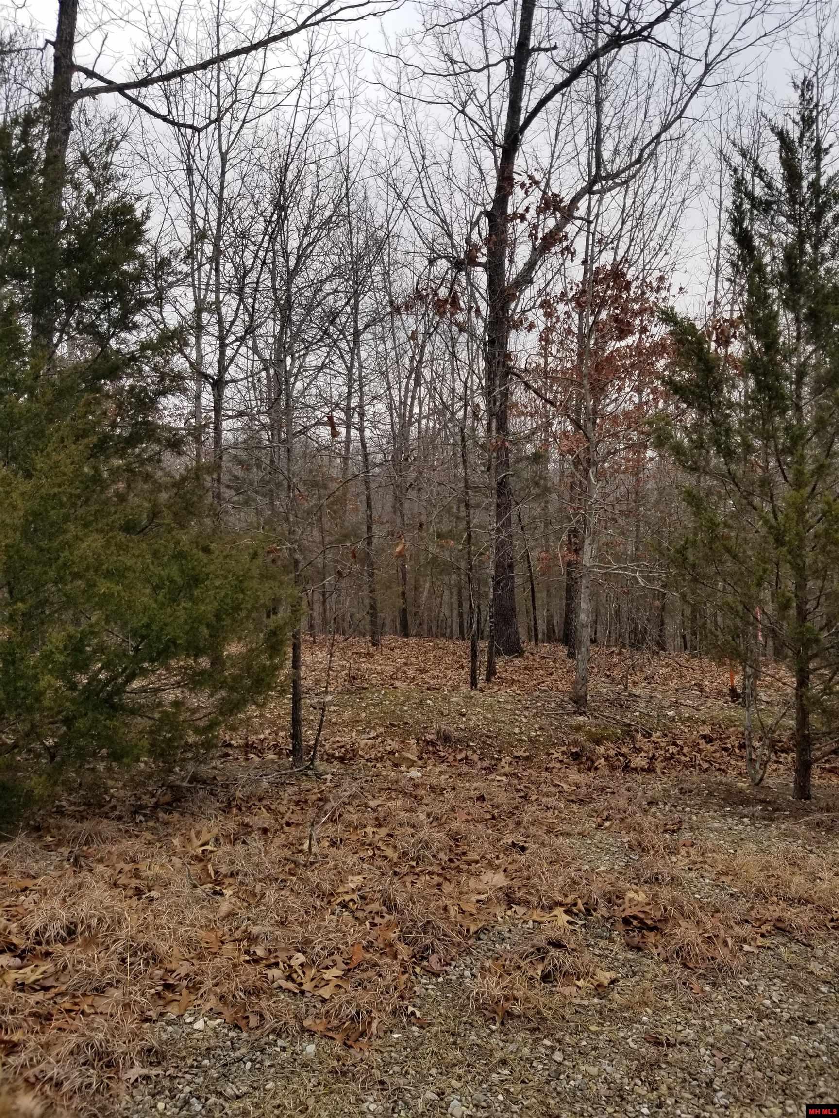 Lot 14 Buckhead Lane