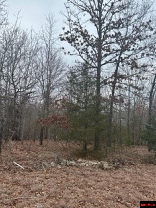 Lot 15 Buckhead Lane