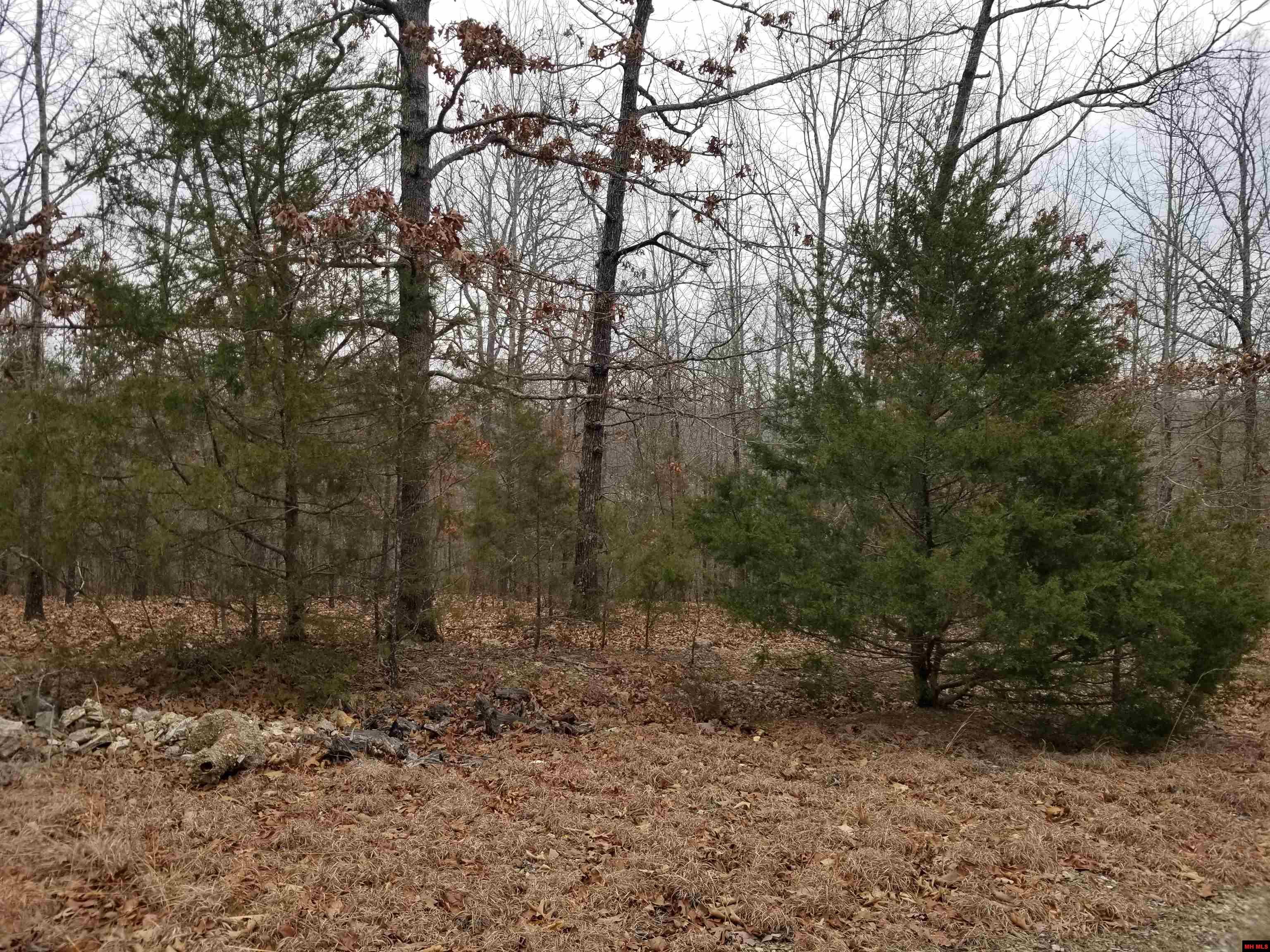 Lot 15 Buckhead Lane