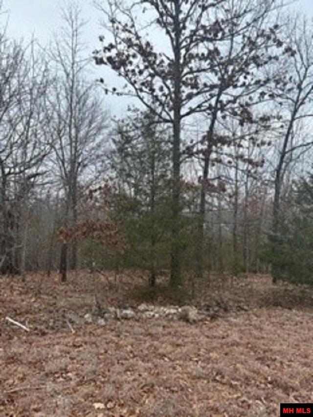 Lot 15 Buckhead Lane