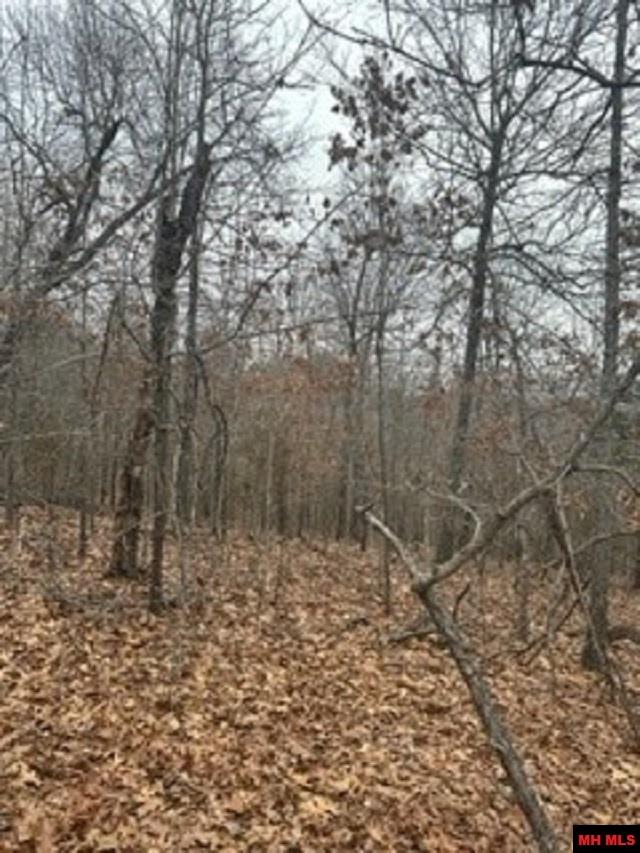 Lot 15 Buckhead Lane