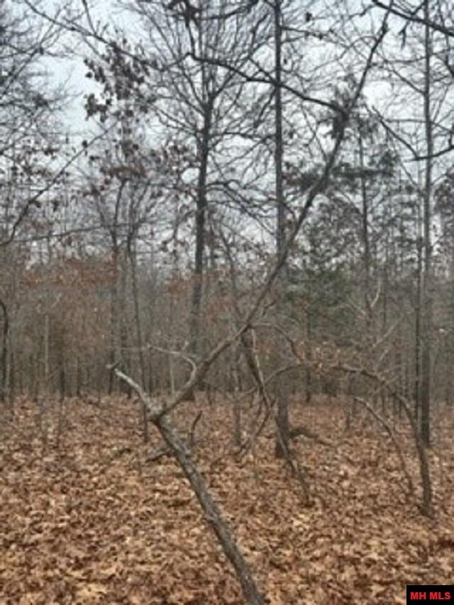 Lot 15 Buckhead Lane