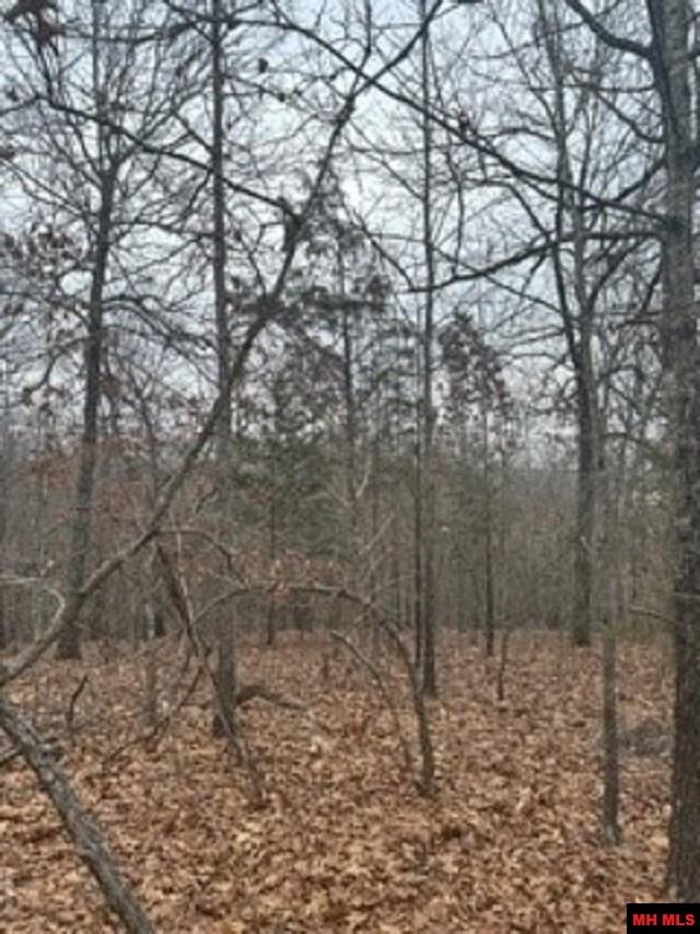 Lot 15 Buckhead Lane