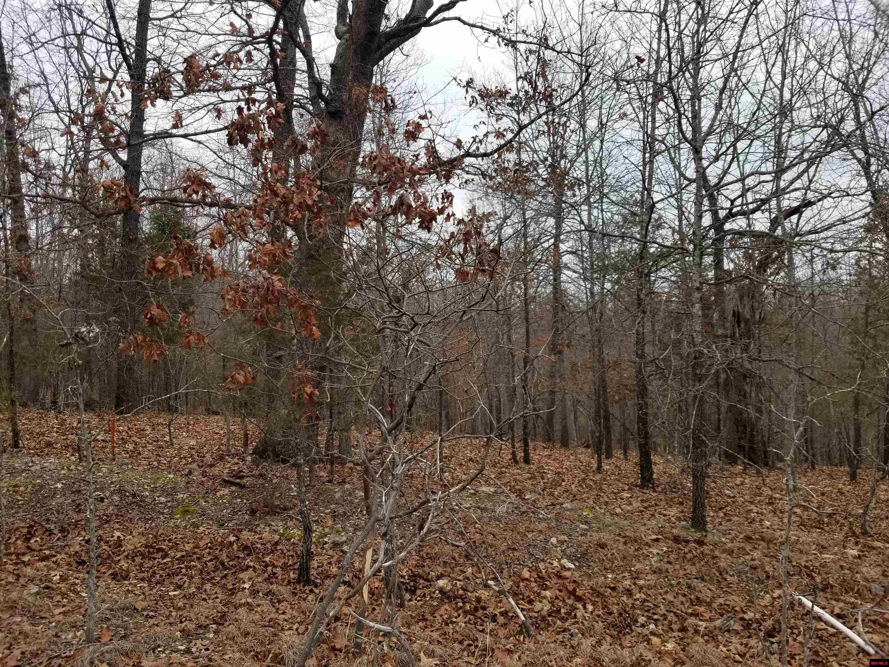 Lot 14 & 15 Buckhead Lane