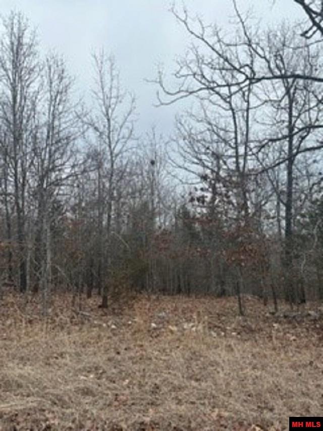 Lot 14 & 15 Buckhead Lane