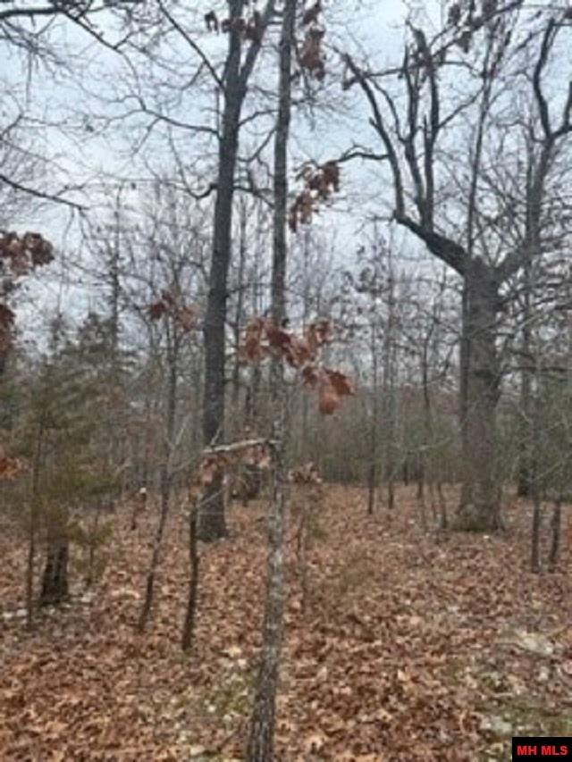 Lot 14 & 15 Buckhead Lane