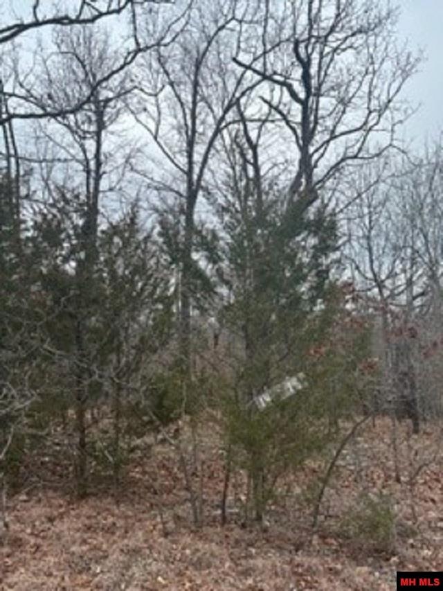 Lot 14 & 15 Buckhead Lane