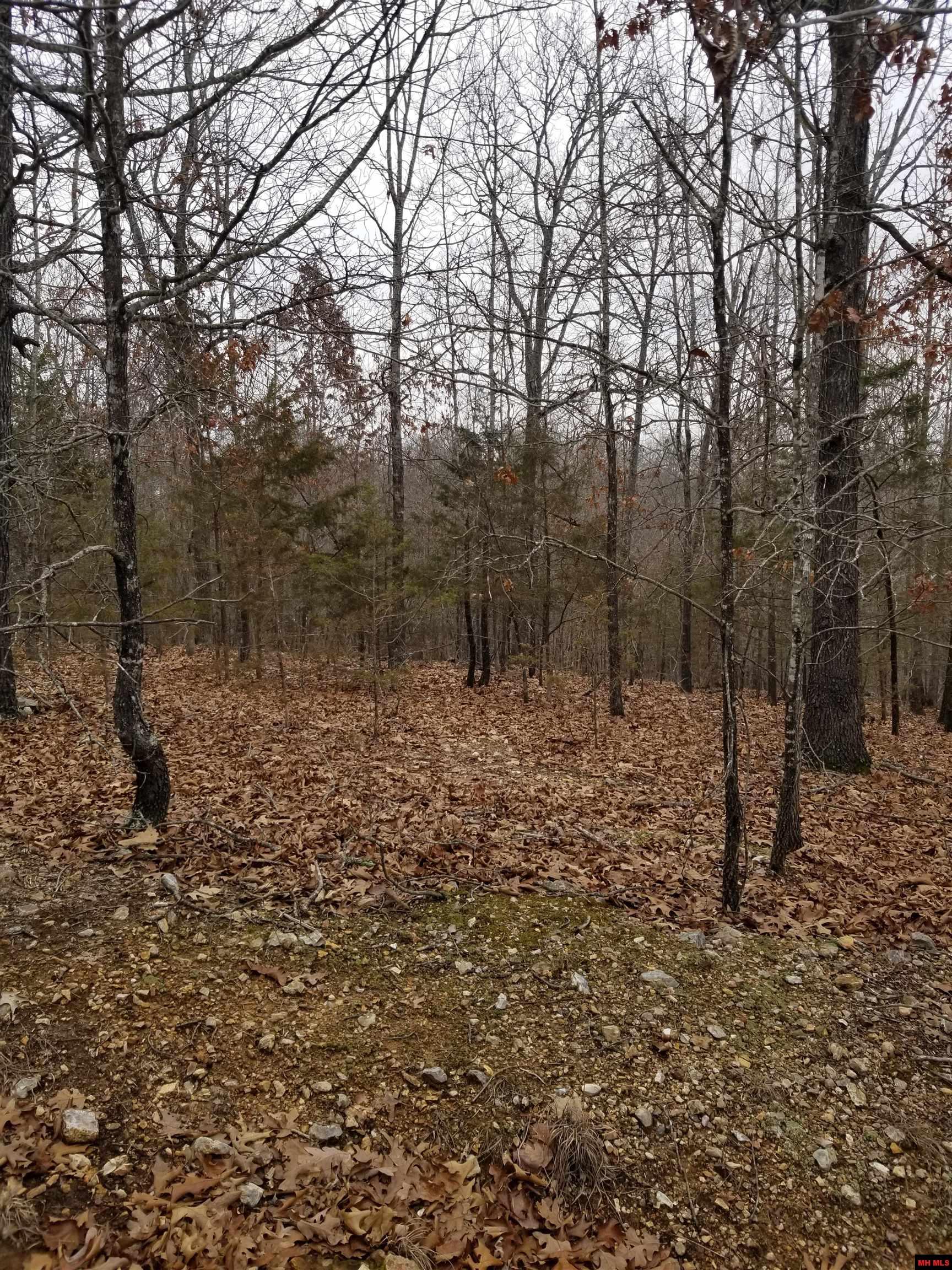 Lot 14 & 15 Buckhead Lane