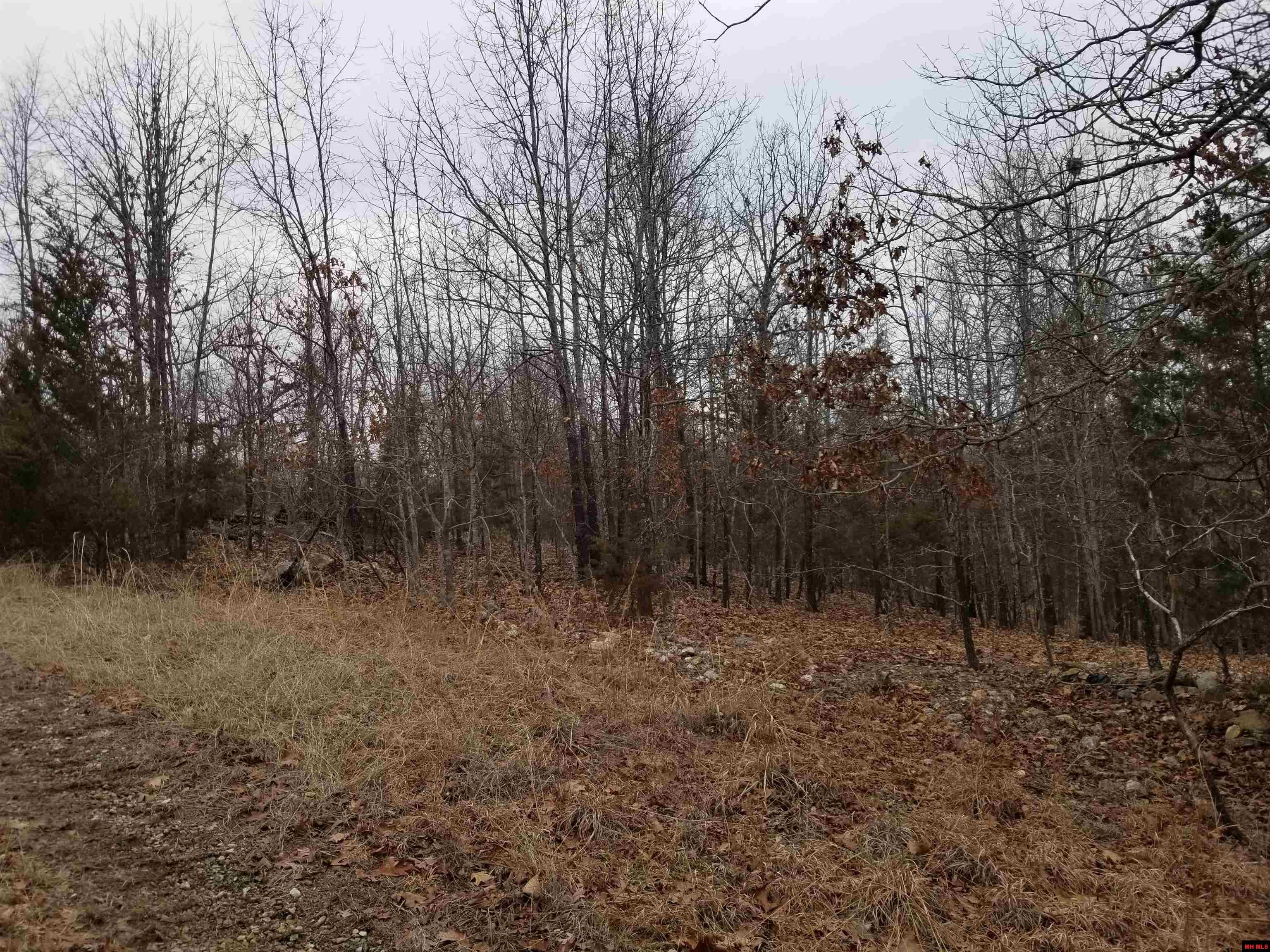 Lot 14 & 15 Buckhead Lane