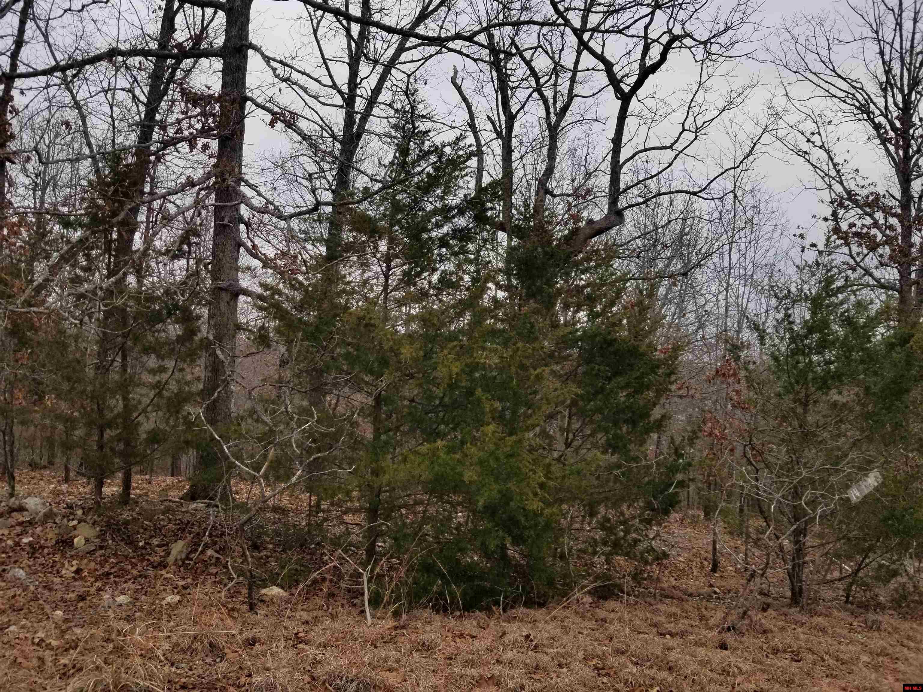 Lot 14 & 15 Buckhead Lane