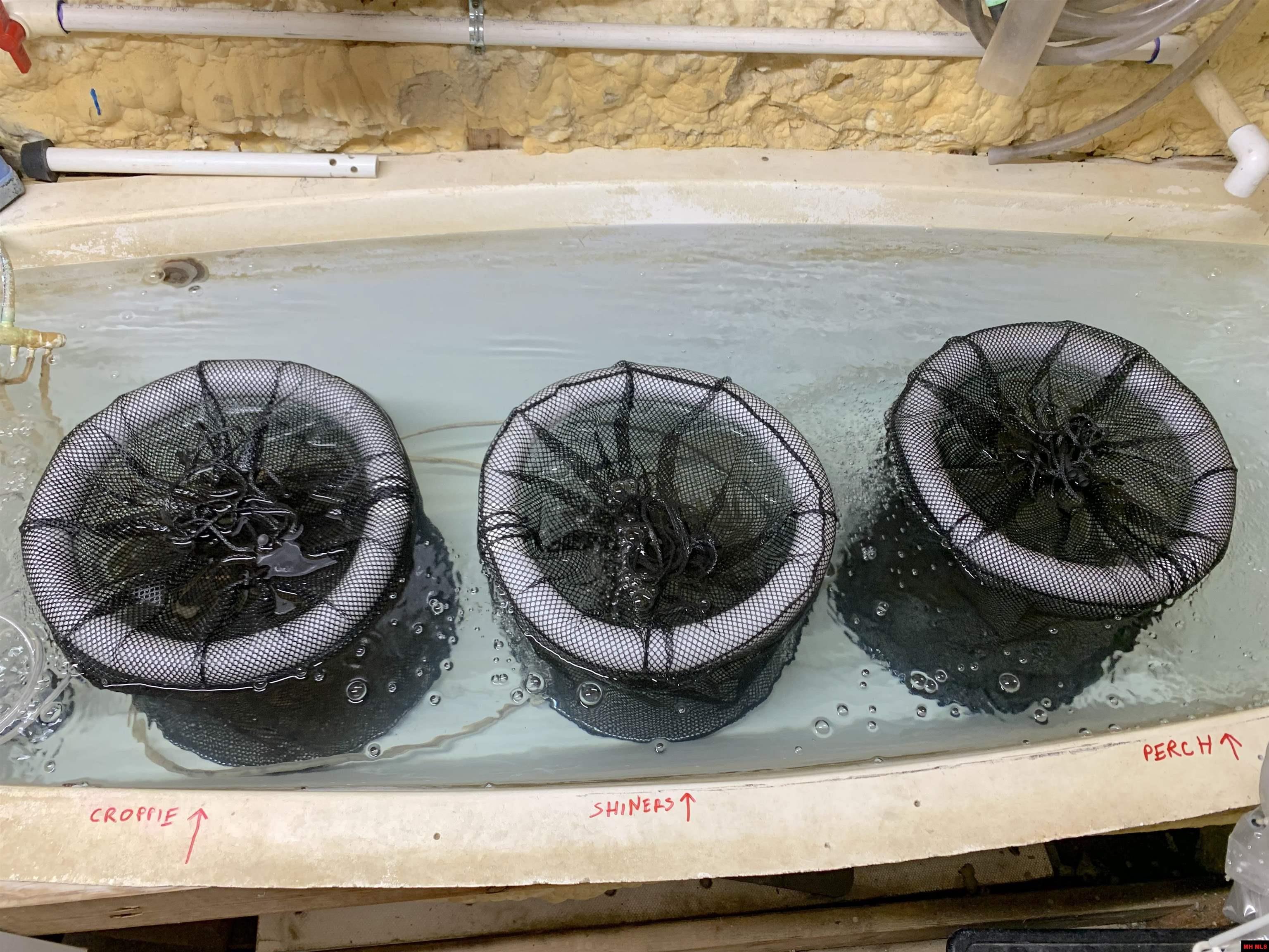 4164 HWY 178 NORTH Flippin, AR