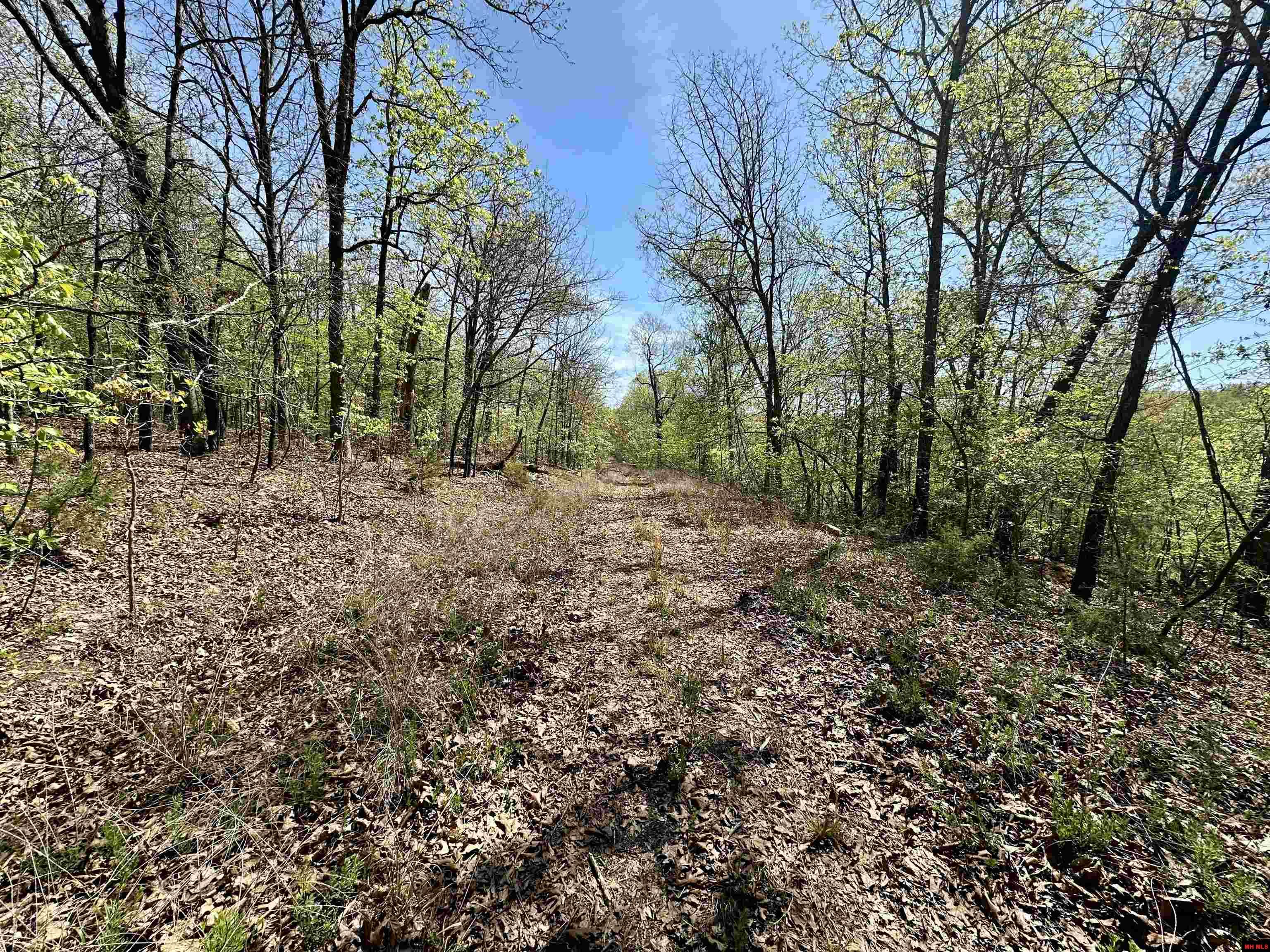 Lots 6 & 7 Homestead Lane