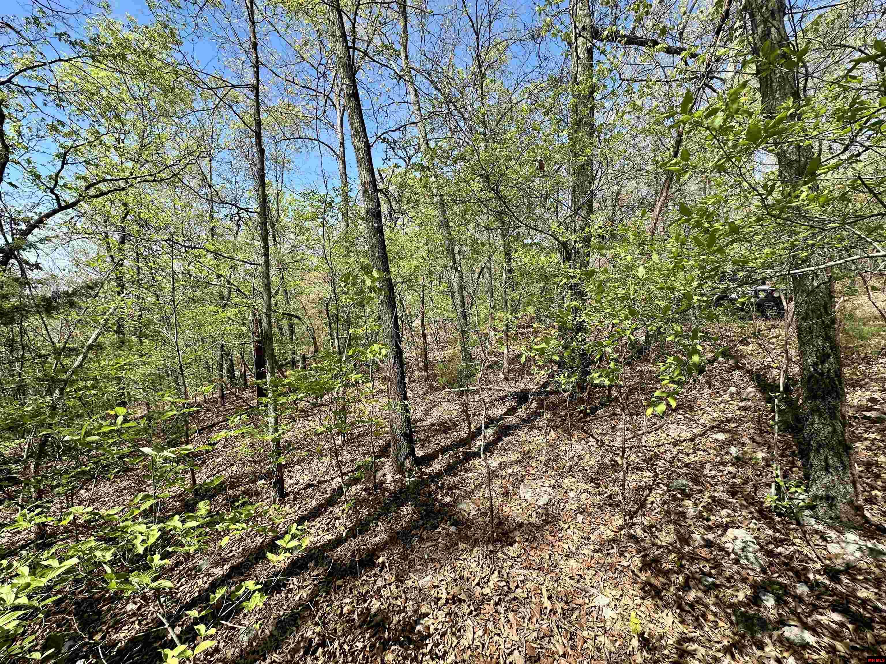 Lots 6 & 7 Homestead Lane