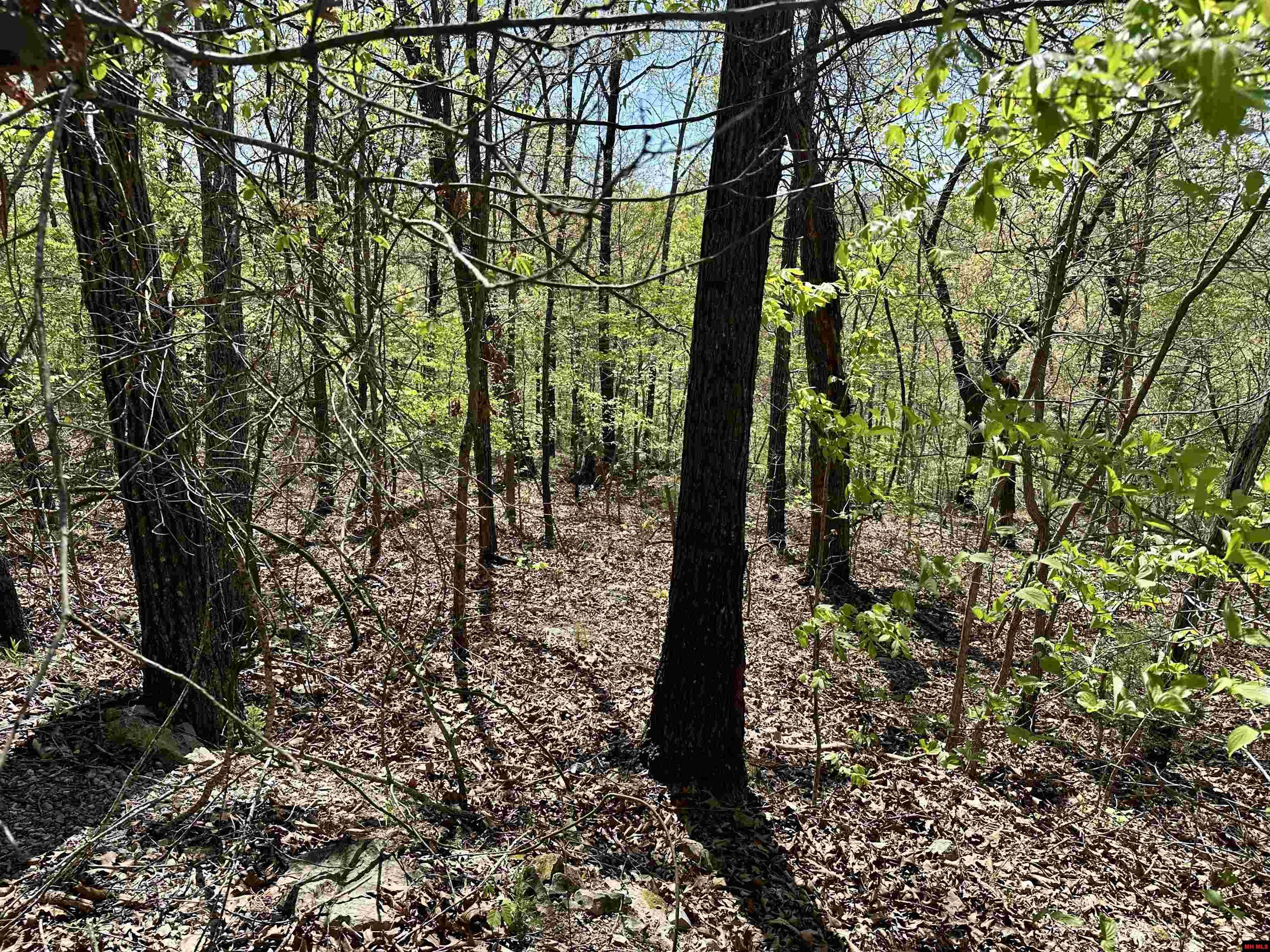 Lots 6 & 7 Homestead Lane