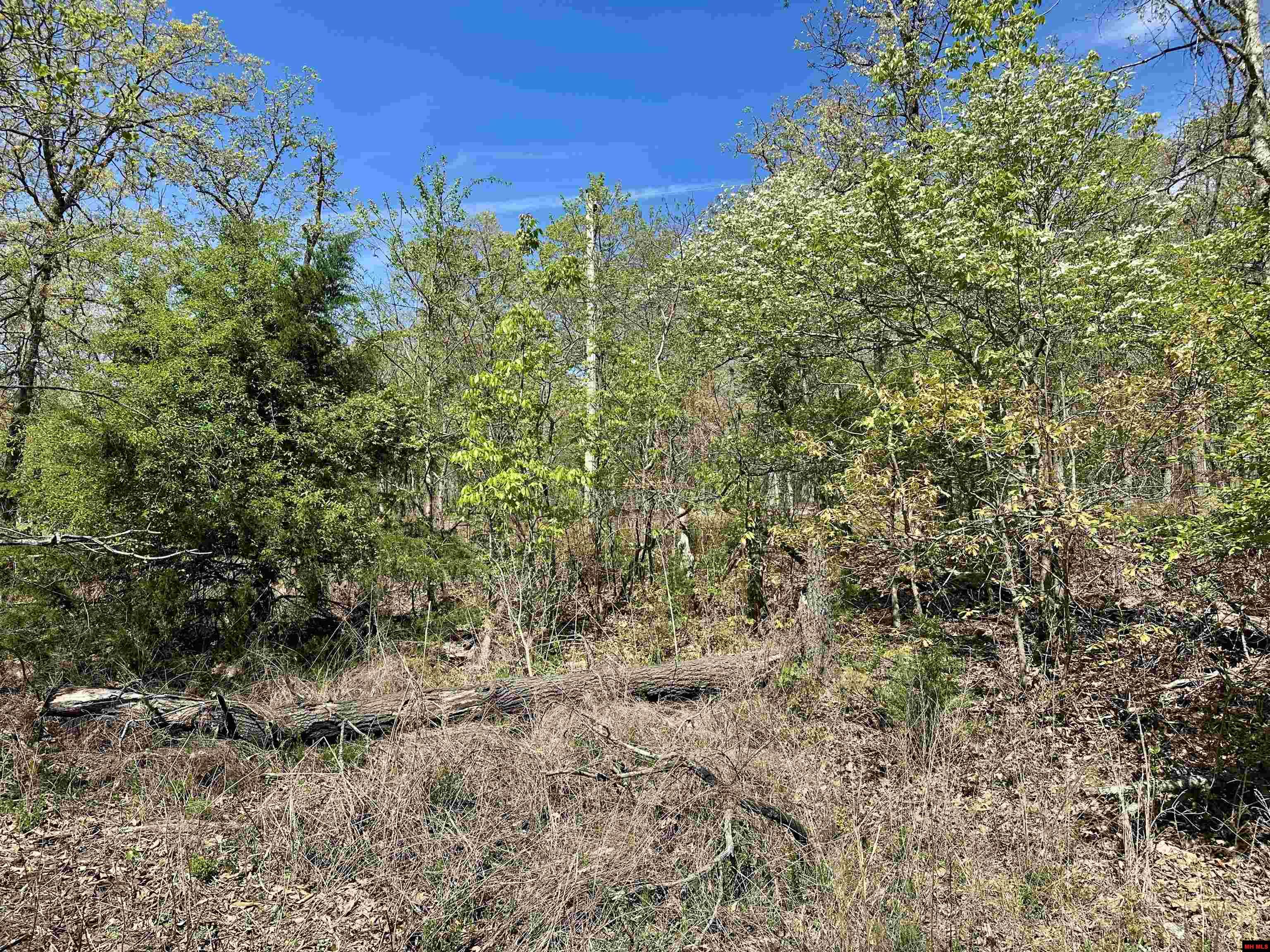 Lots 6 & 7 Homestead Lane