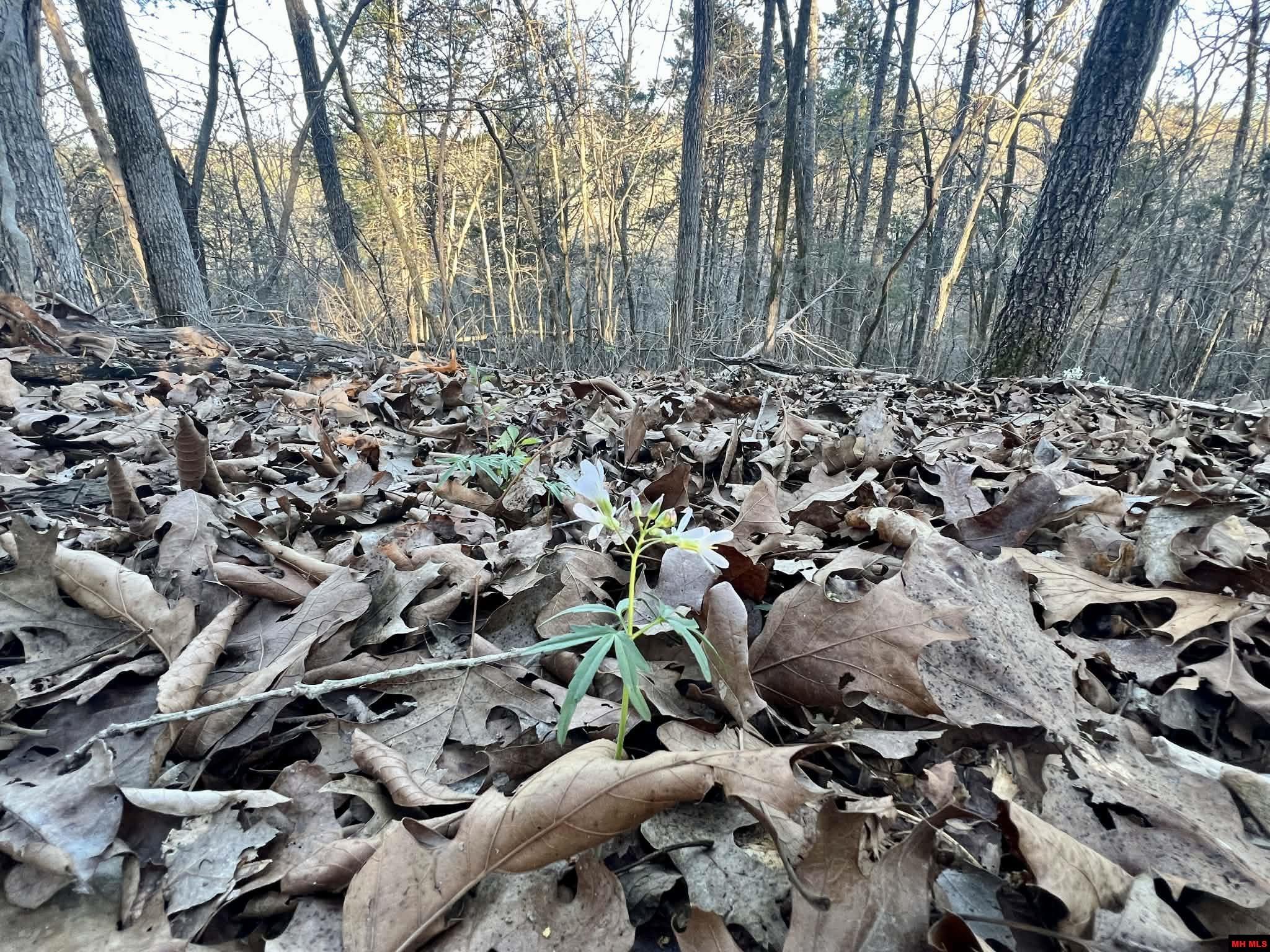 Lot 8 Teal Point Road