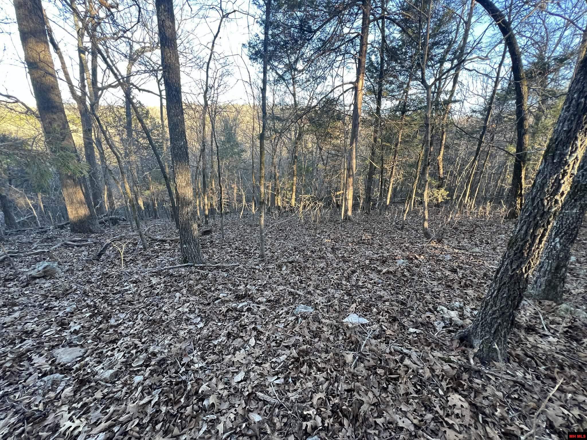 Lot 8 Teal Point Road