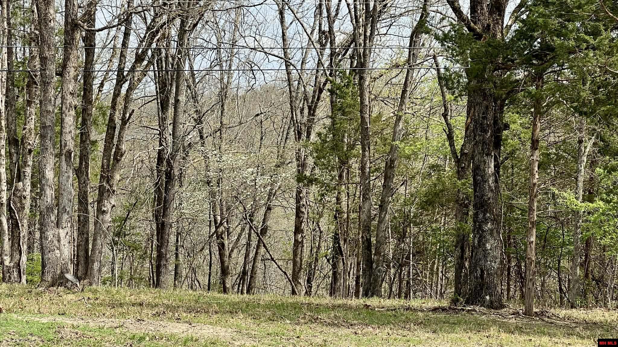 Lot 8 Teal Point Road