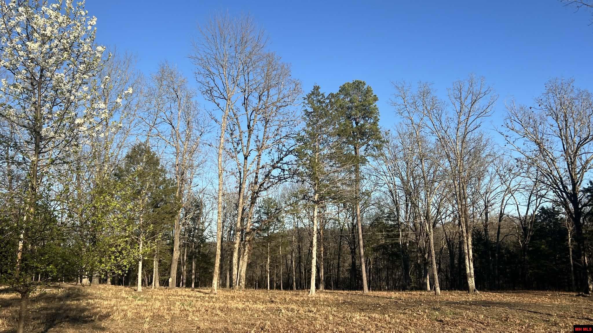 Lot 8 Teal Point Road