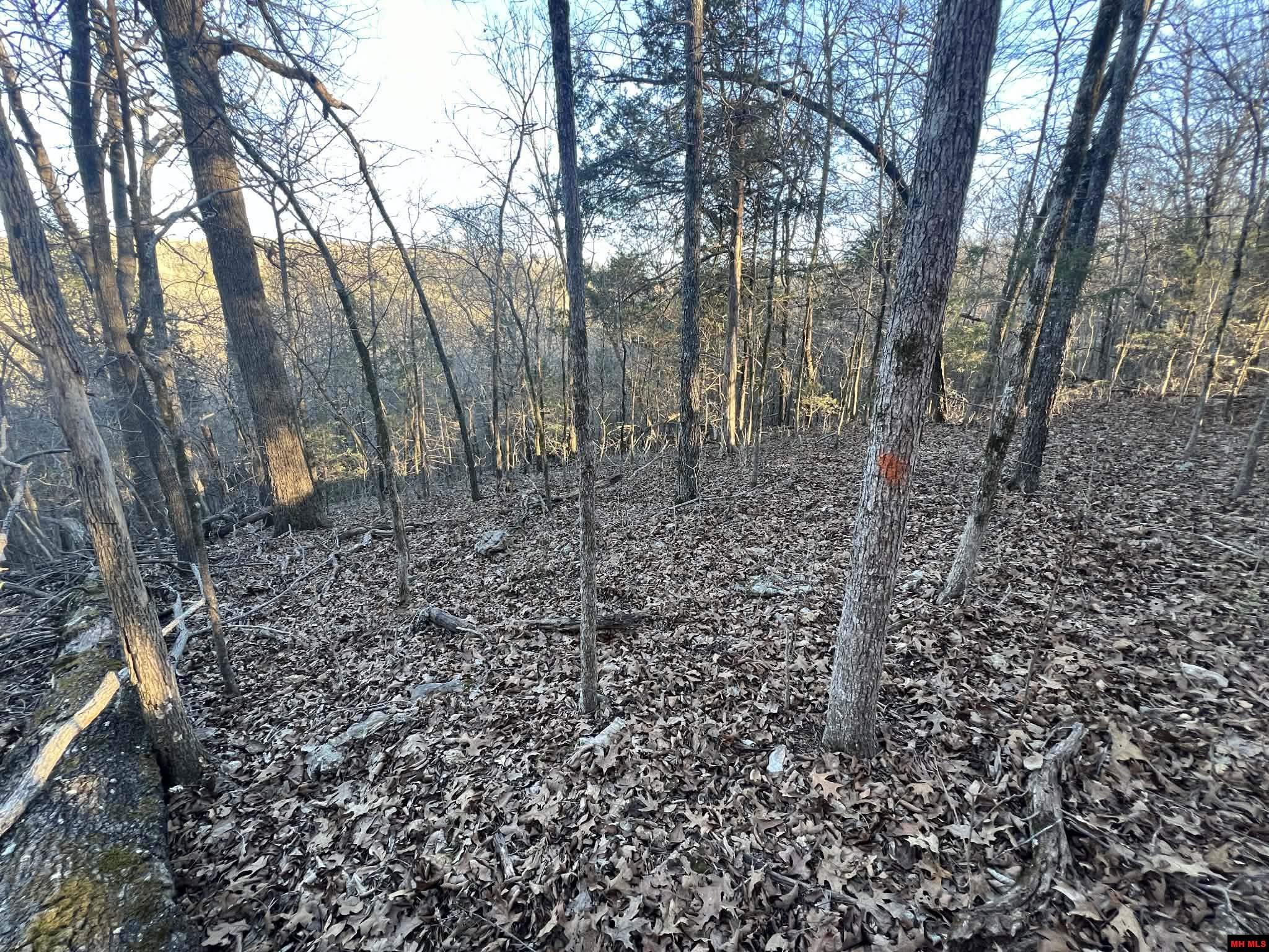 Lot 8 Teal Point Road