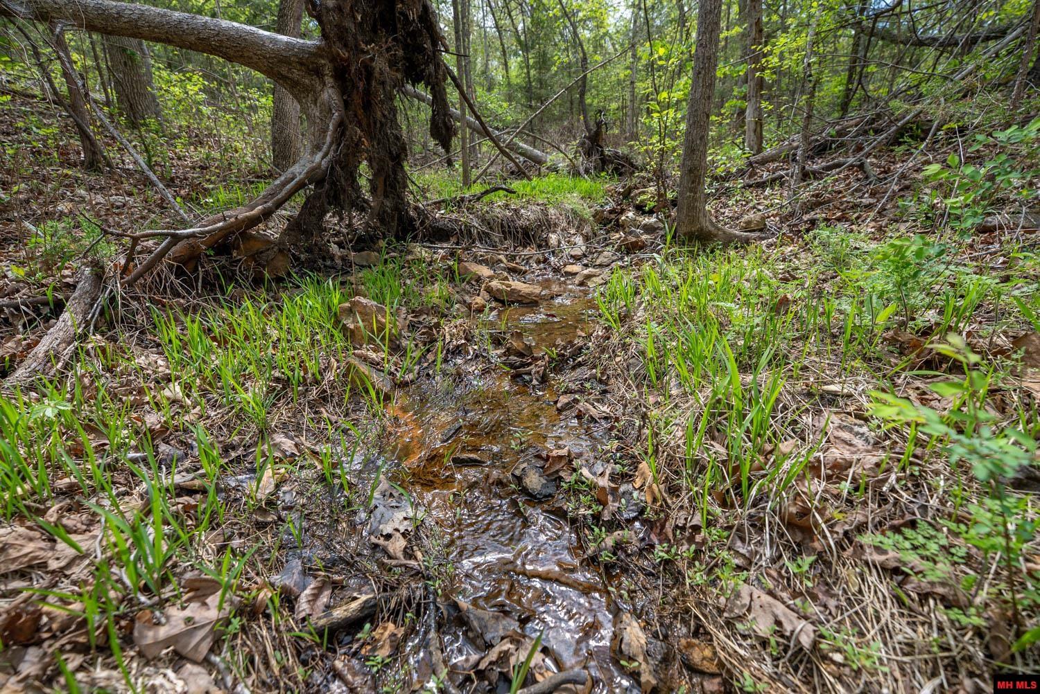 010054730000100 Fife Lane