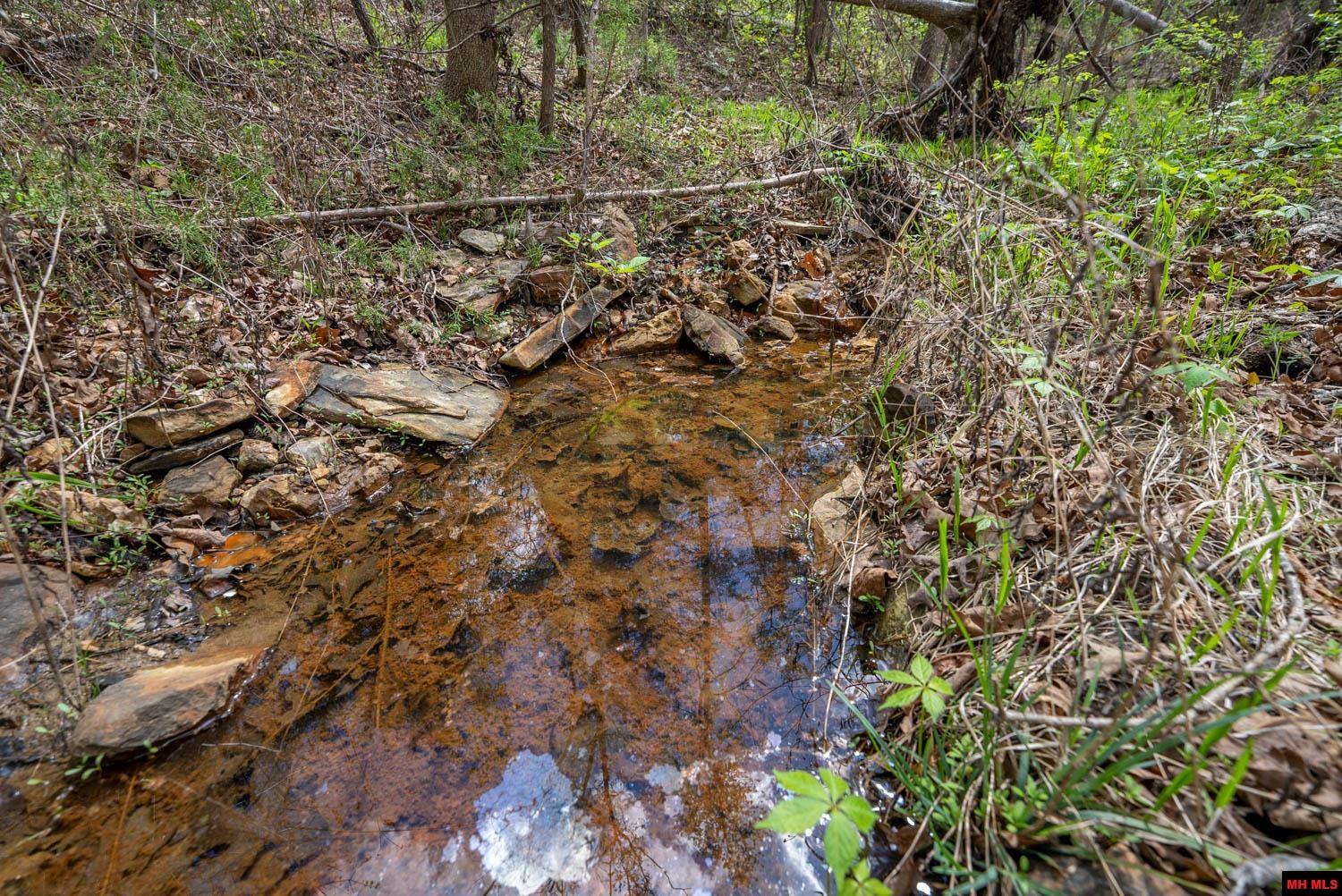 010054730000100 Fife Lane