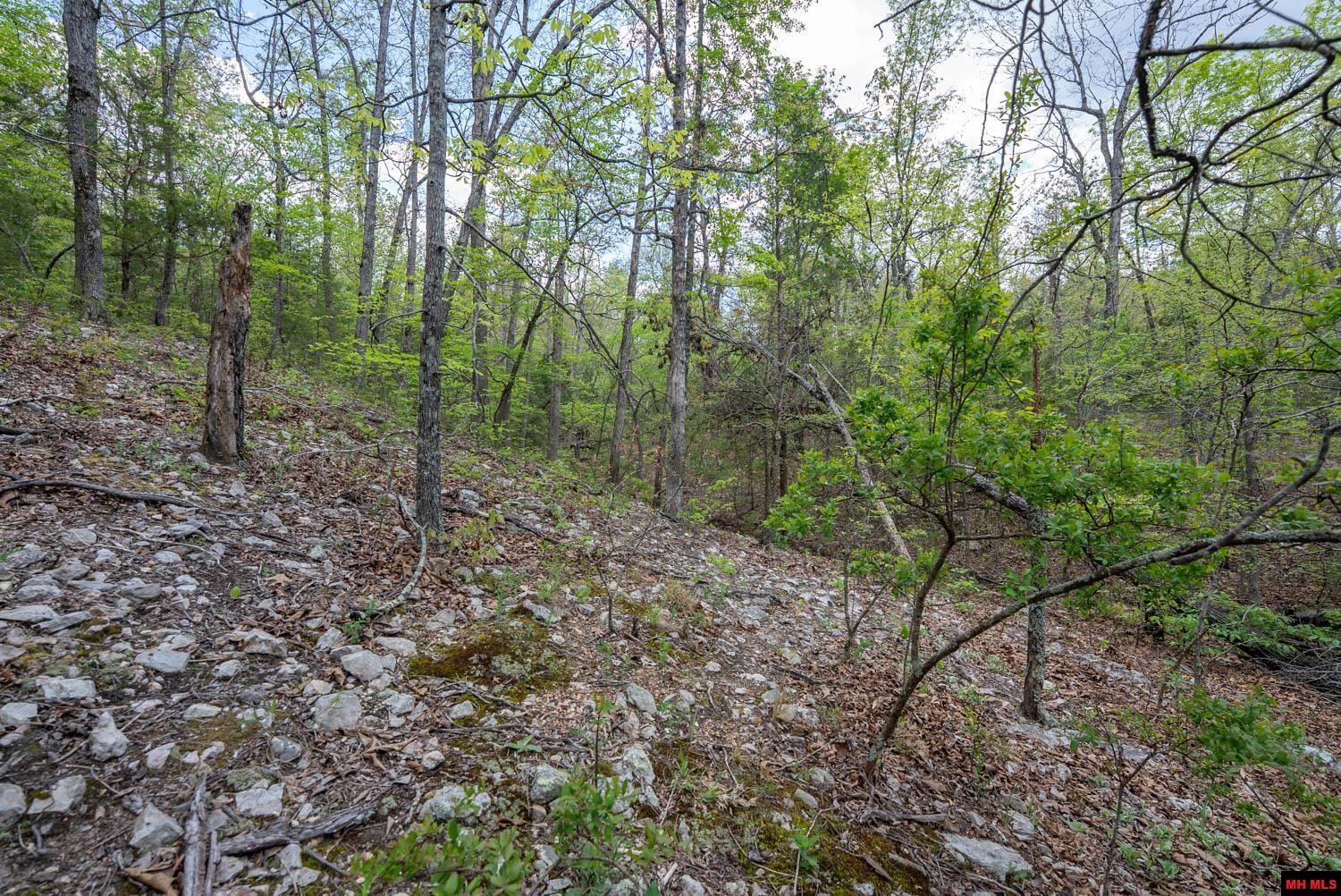 010054730000100 Fife Lane