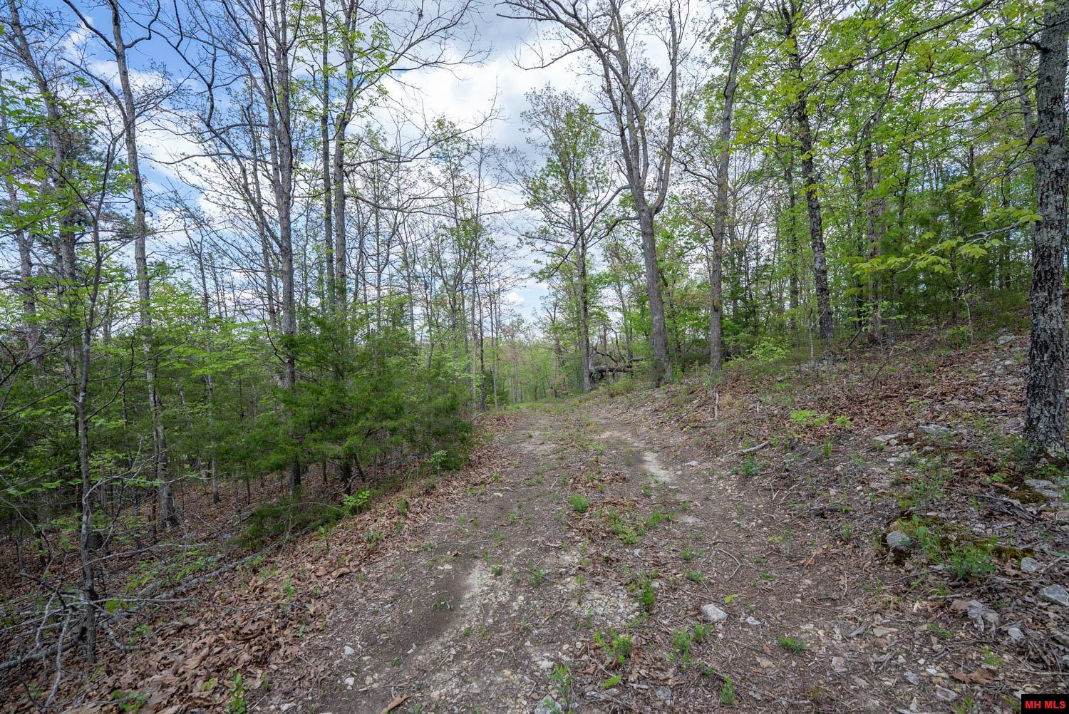 010054730000100 Fife Lane