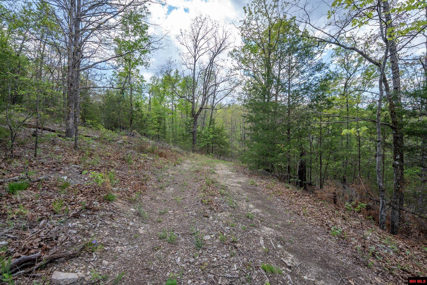 010054730000100 Fife Lane